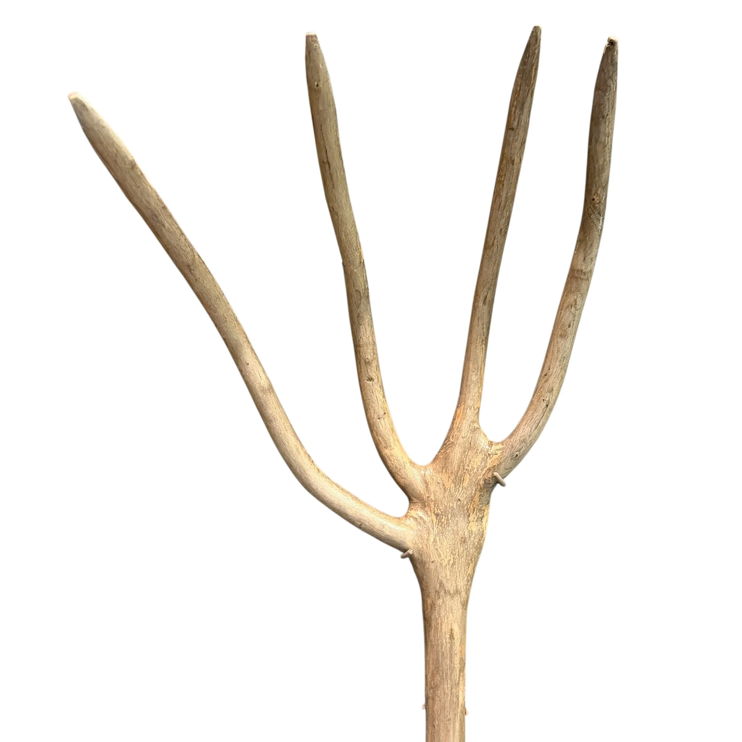 Photo Feb 27 2026, 2 56 36 PM (2).jpg