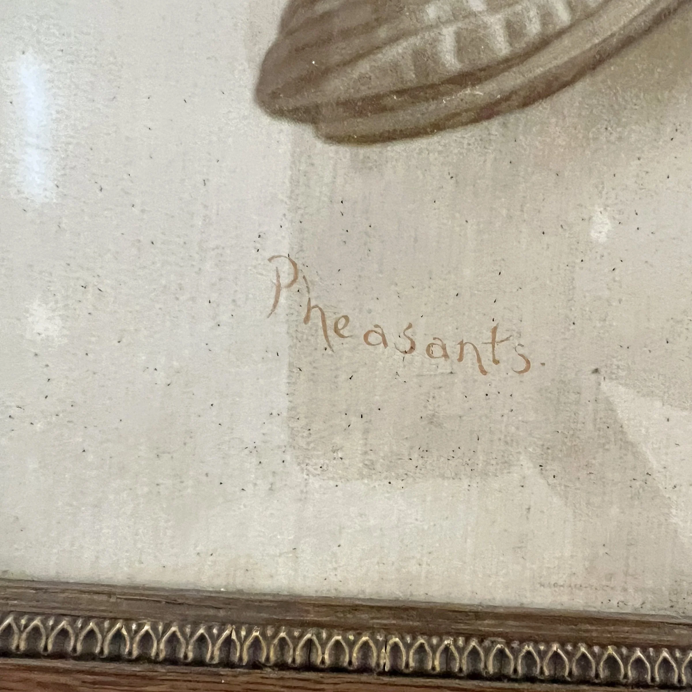 Photo Feb 05 2024, 9 01 15 AM.jpg