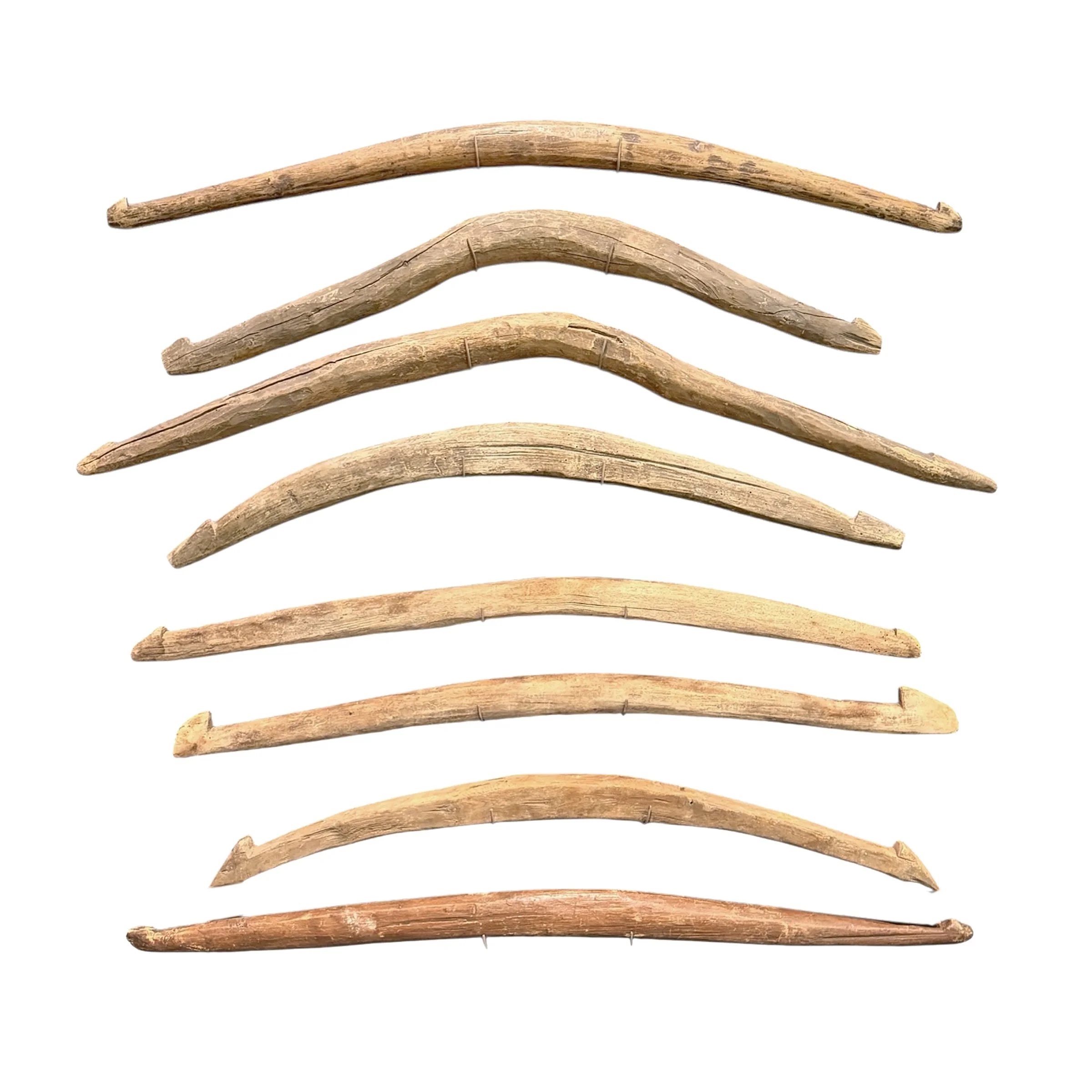 Photo Feb 27 2026, 2 55 22 PM.jpg (Copy)