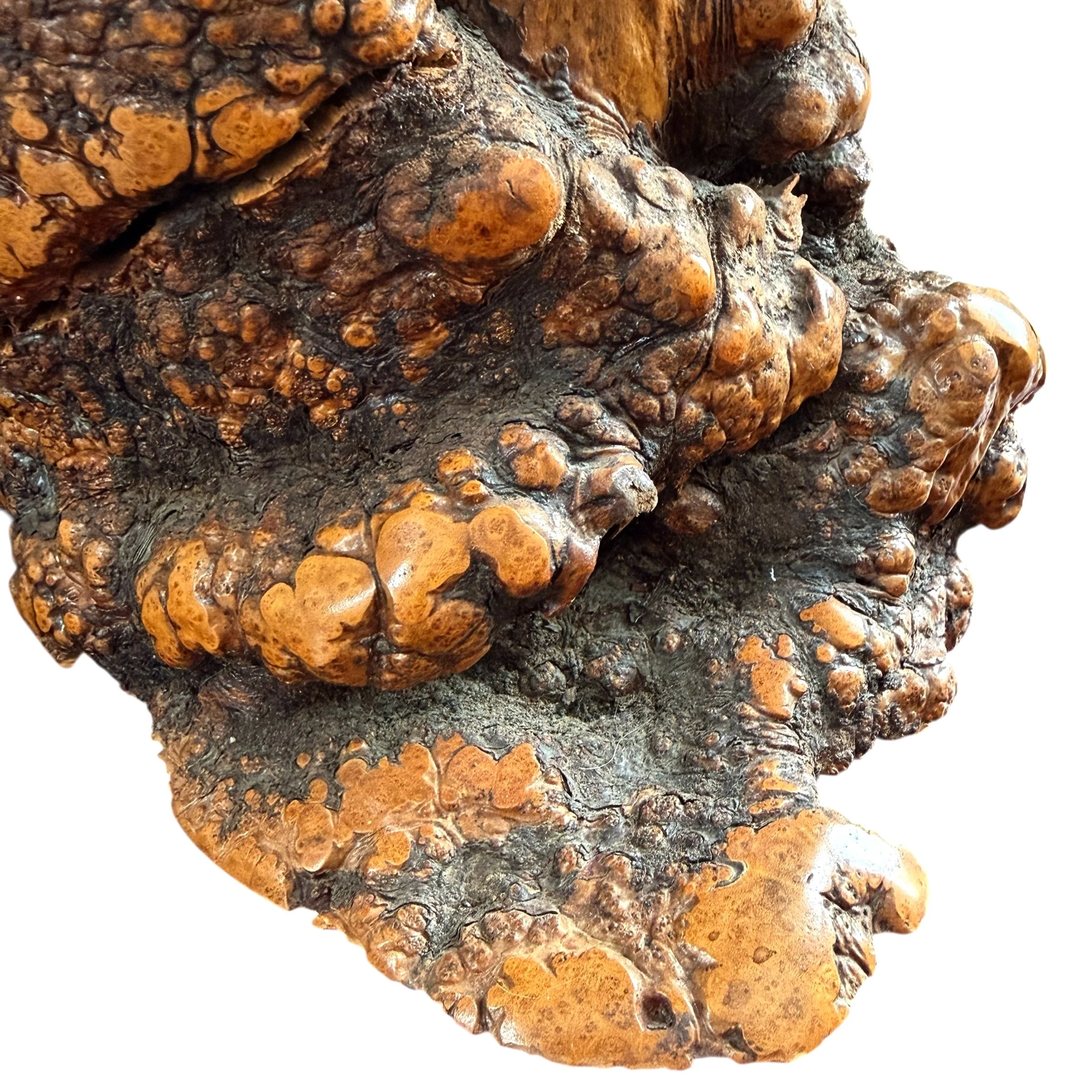 Photo Mar 18 2026, 9 59 58 AM (9).jpg