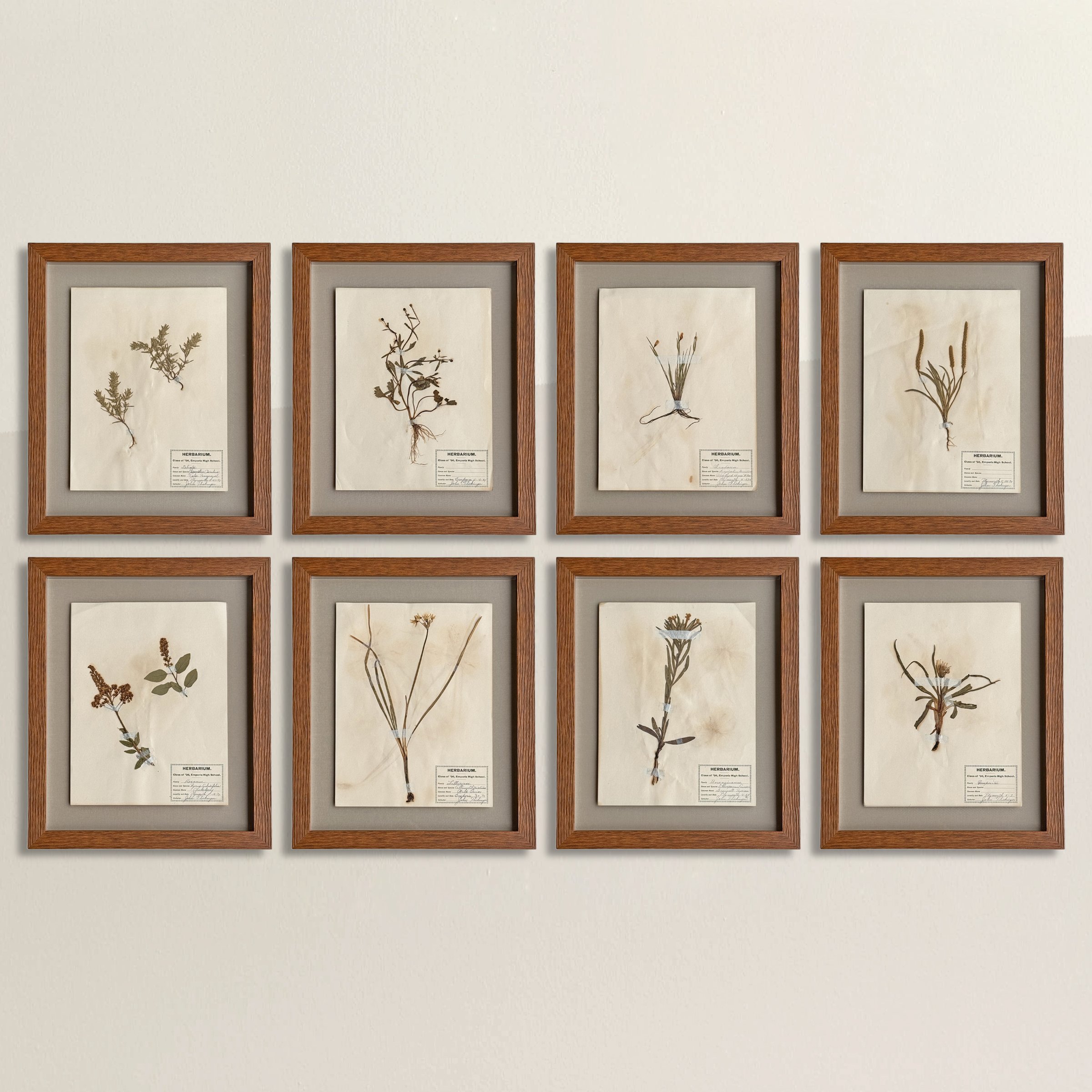 Set of 8 Framed Botanicals.jpg