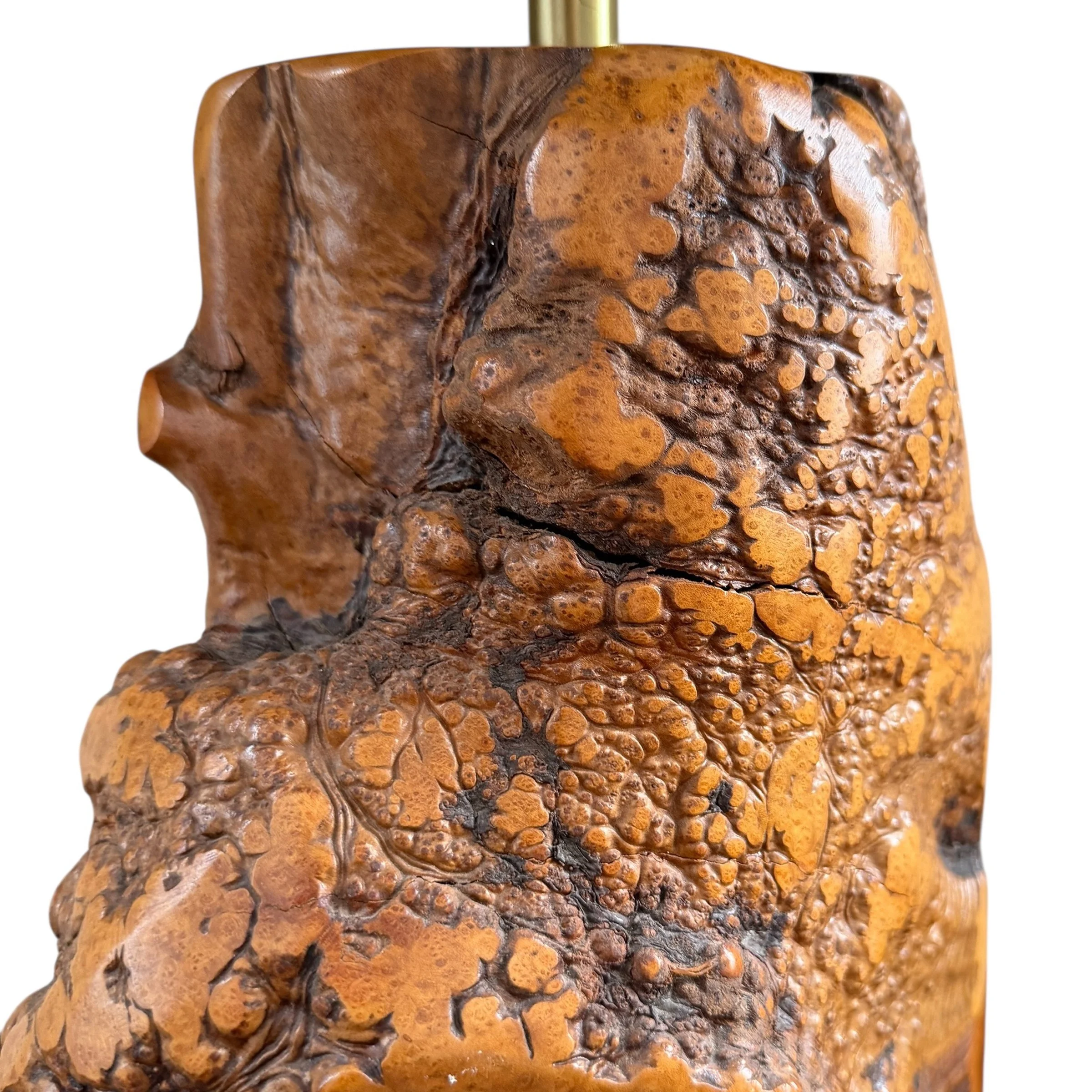 Photo Mar 18 2026, 9 59 58 AM (10).jpg