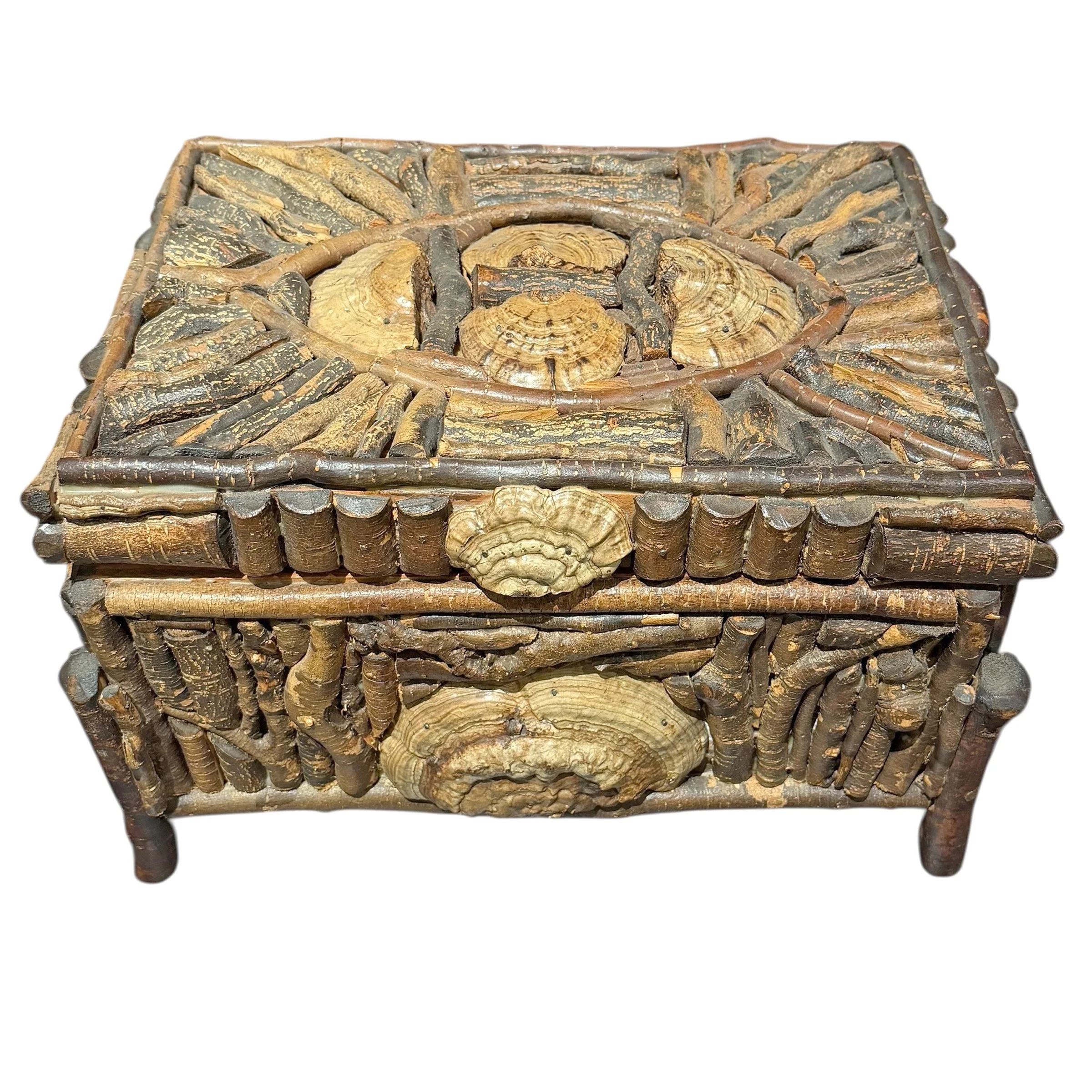 Photo Feb 03 2026, 2 05 57 PM (6).jpg