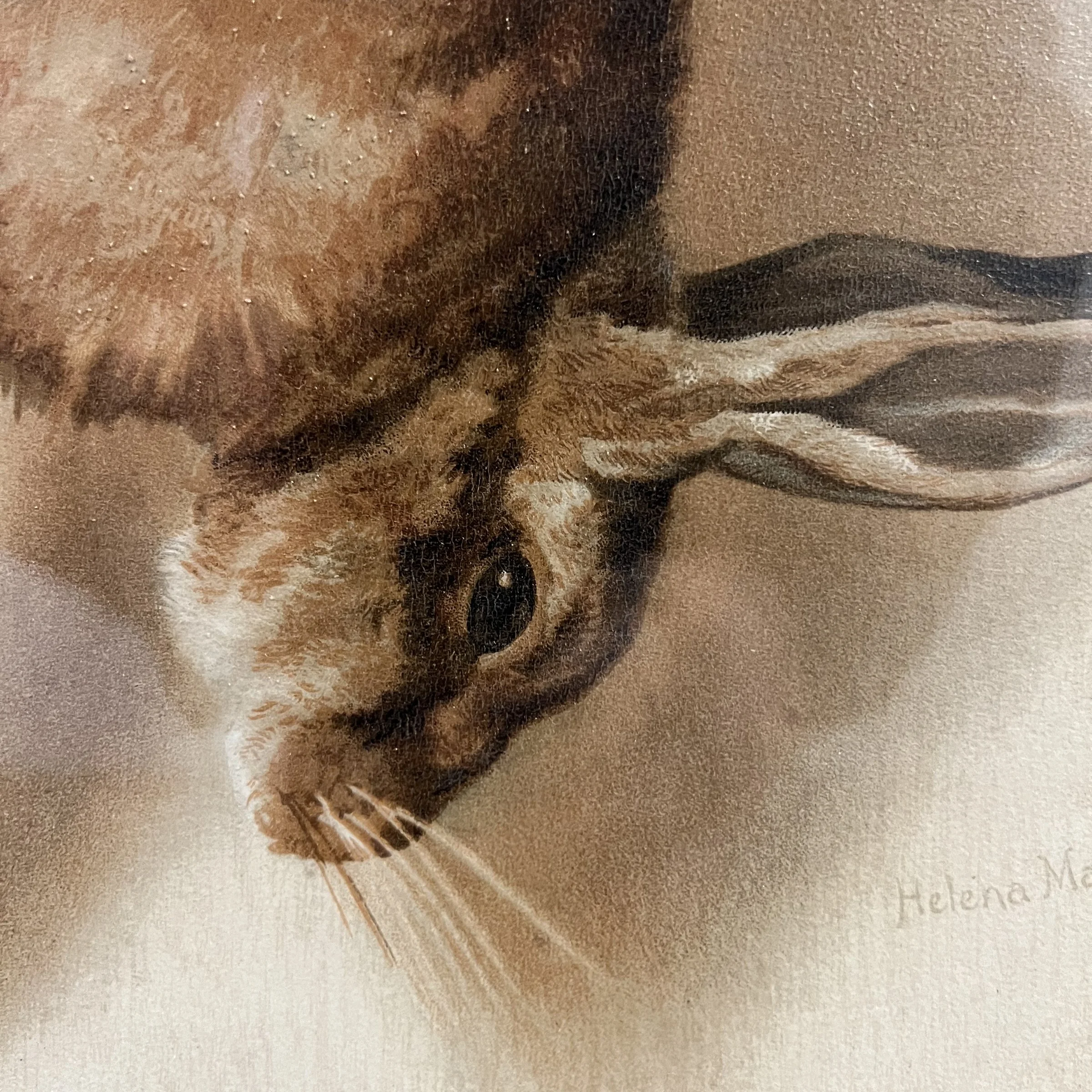 Photo Feb 05 2024, 9 00 36 AM.jpg