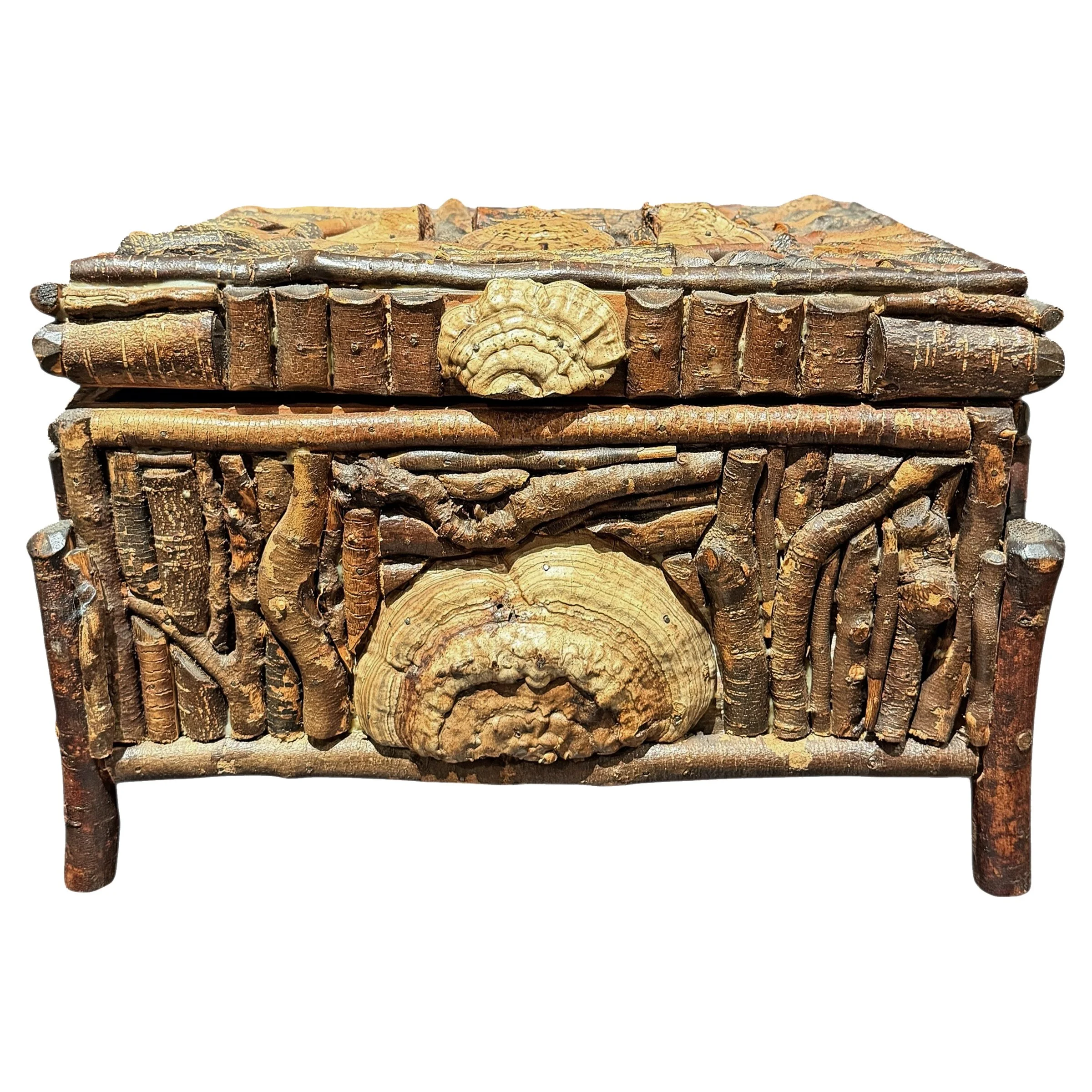 Photo Feb 03 2026, 2 05 57 PM (1).jpg