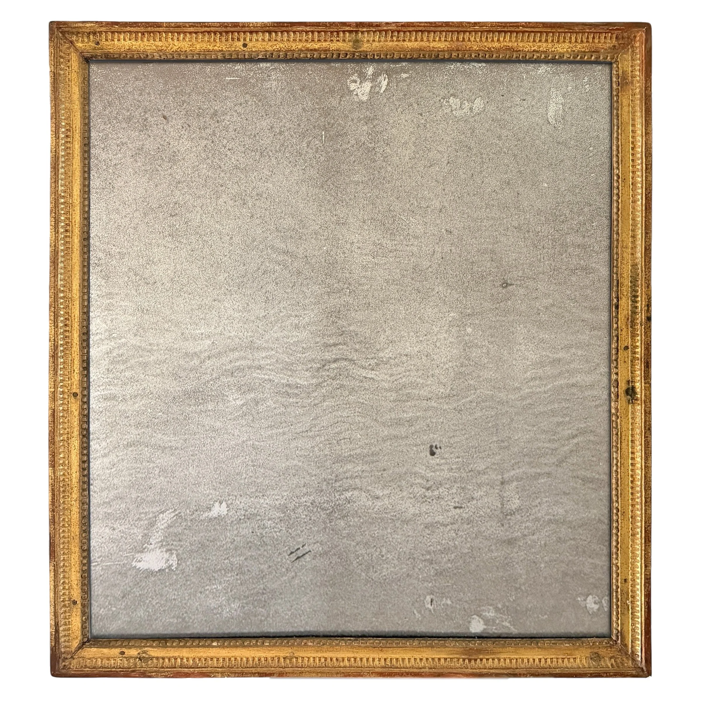 Photo Feb 16 2026, 11 16 59 AM (16).jpg