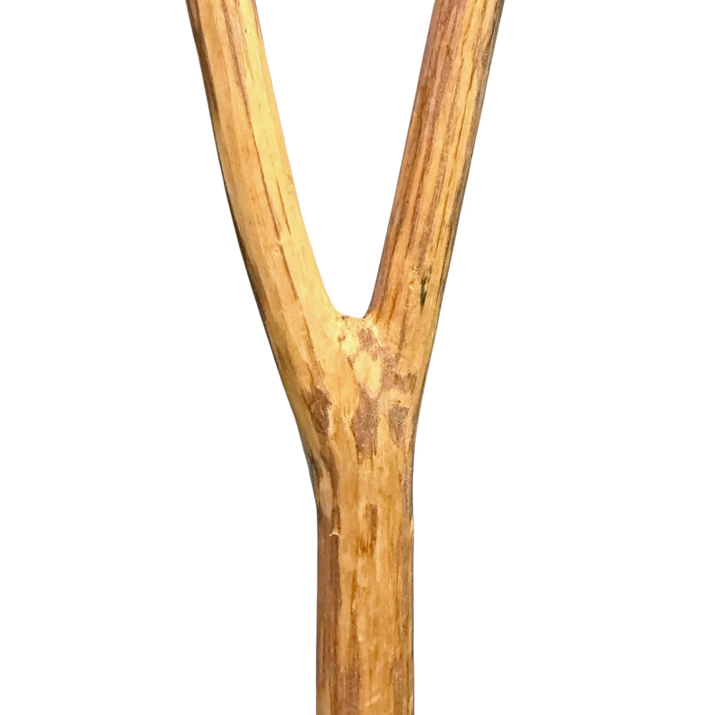 Photo Feb 27 2026, 2 55 56 PM (3).jpg