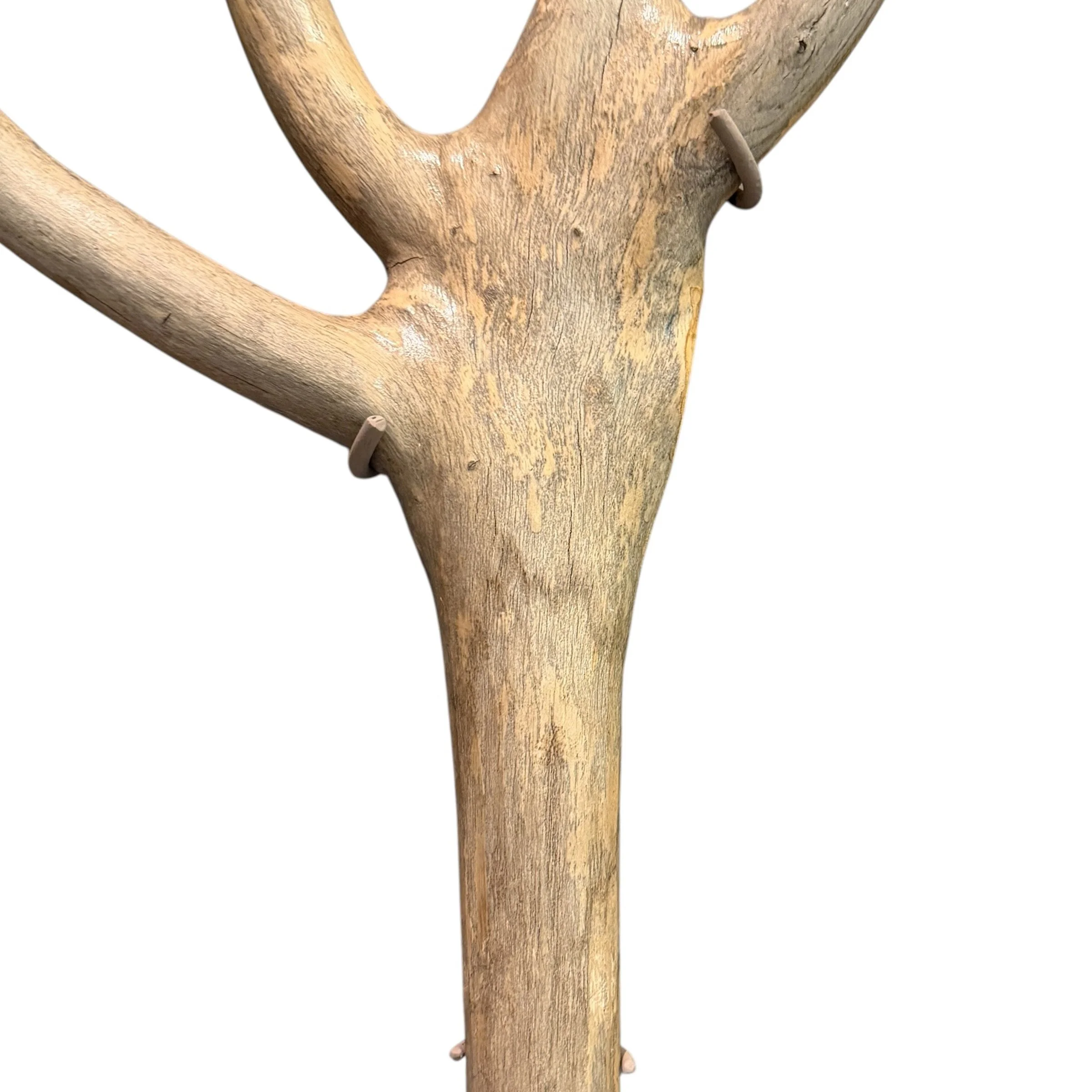 Photo Feb 27 2026, 2 56 36 PM.jpg