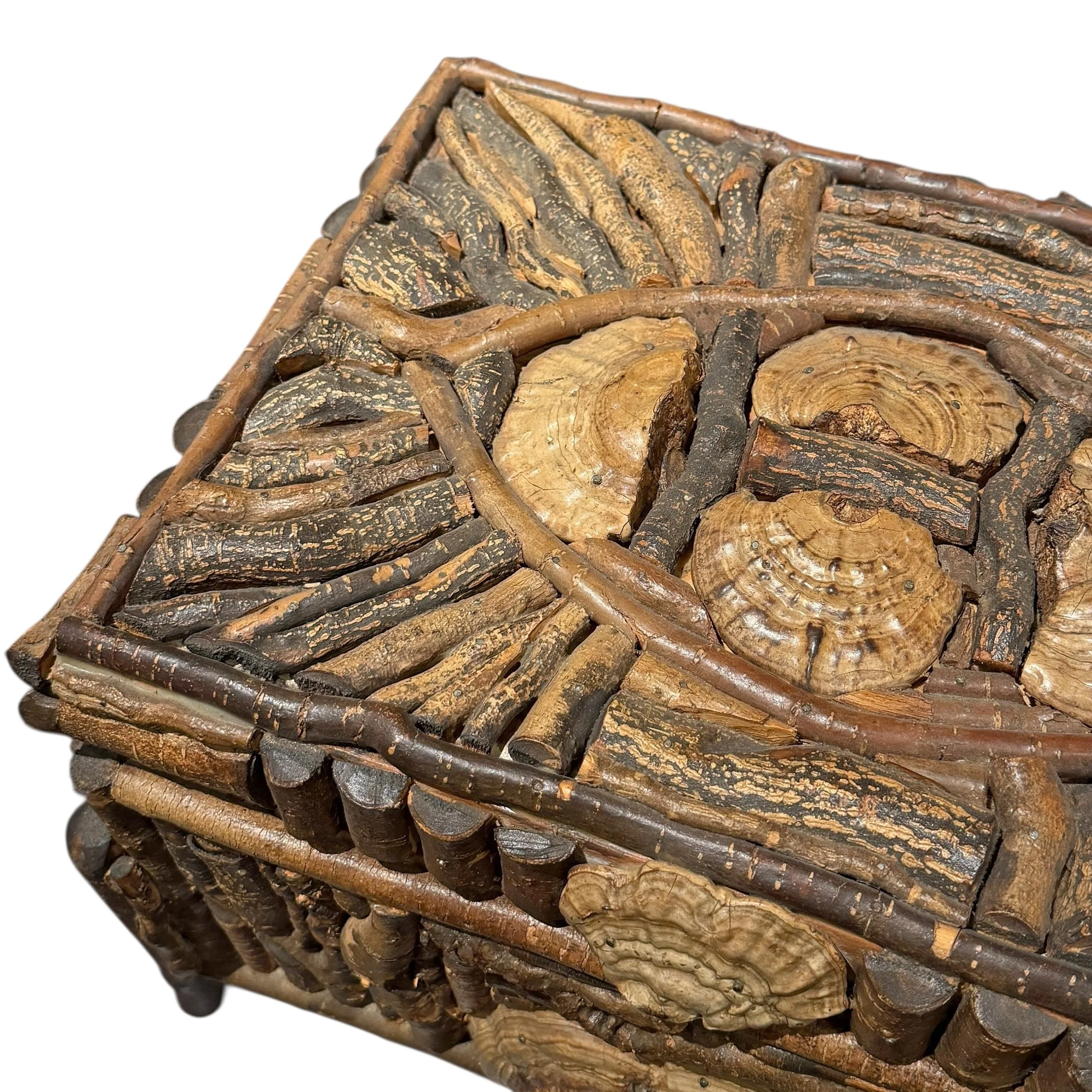 Photo Feb 03 2026, 2 05 57 PM (12).jpg