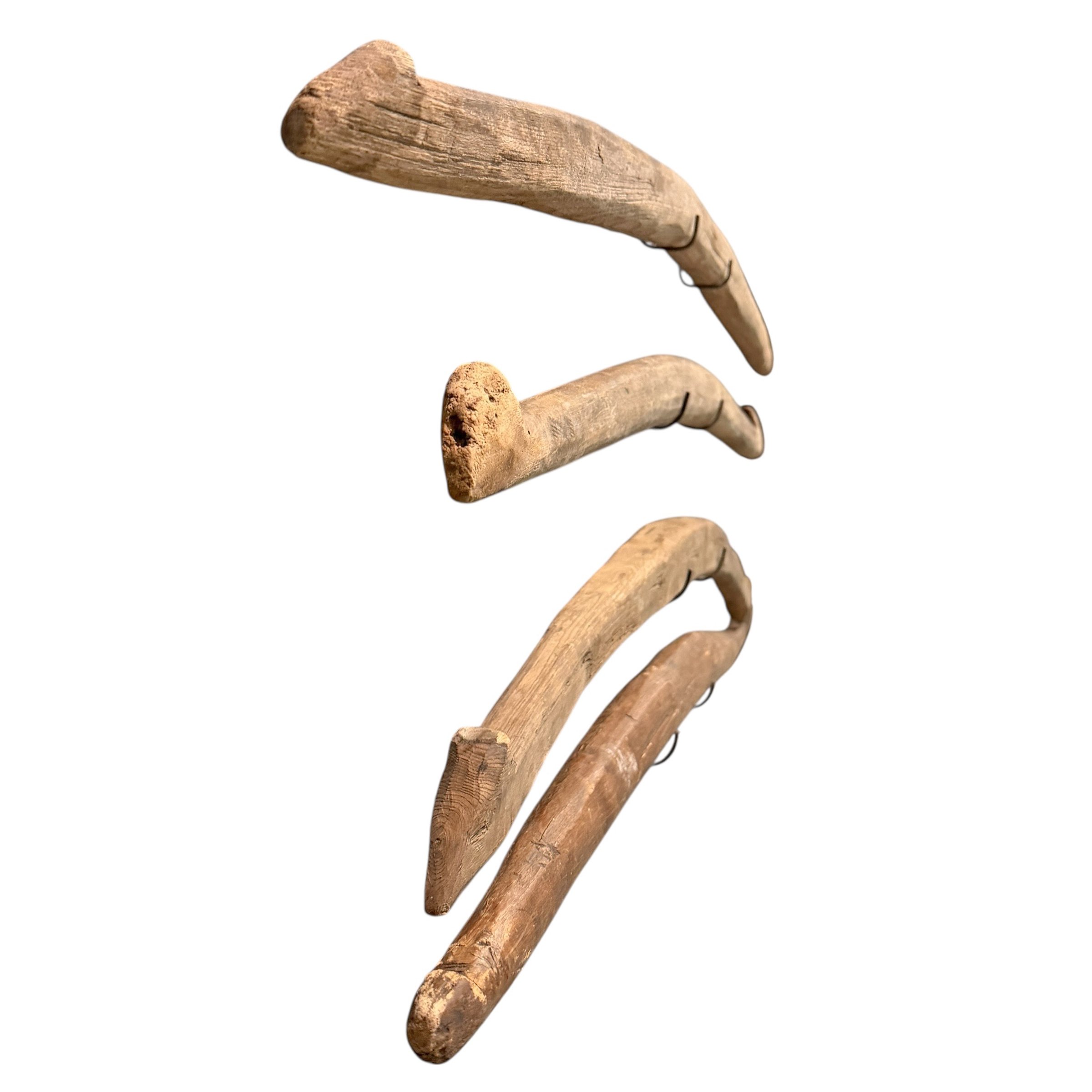 Photo Feb 27 2026, 2 55 22 PM (12).jpg (Copy)