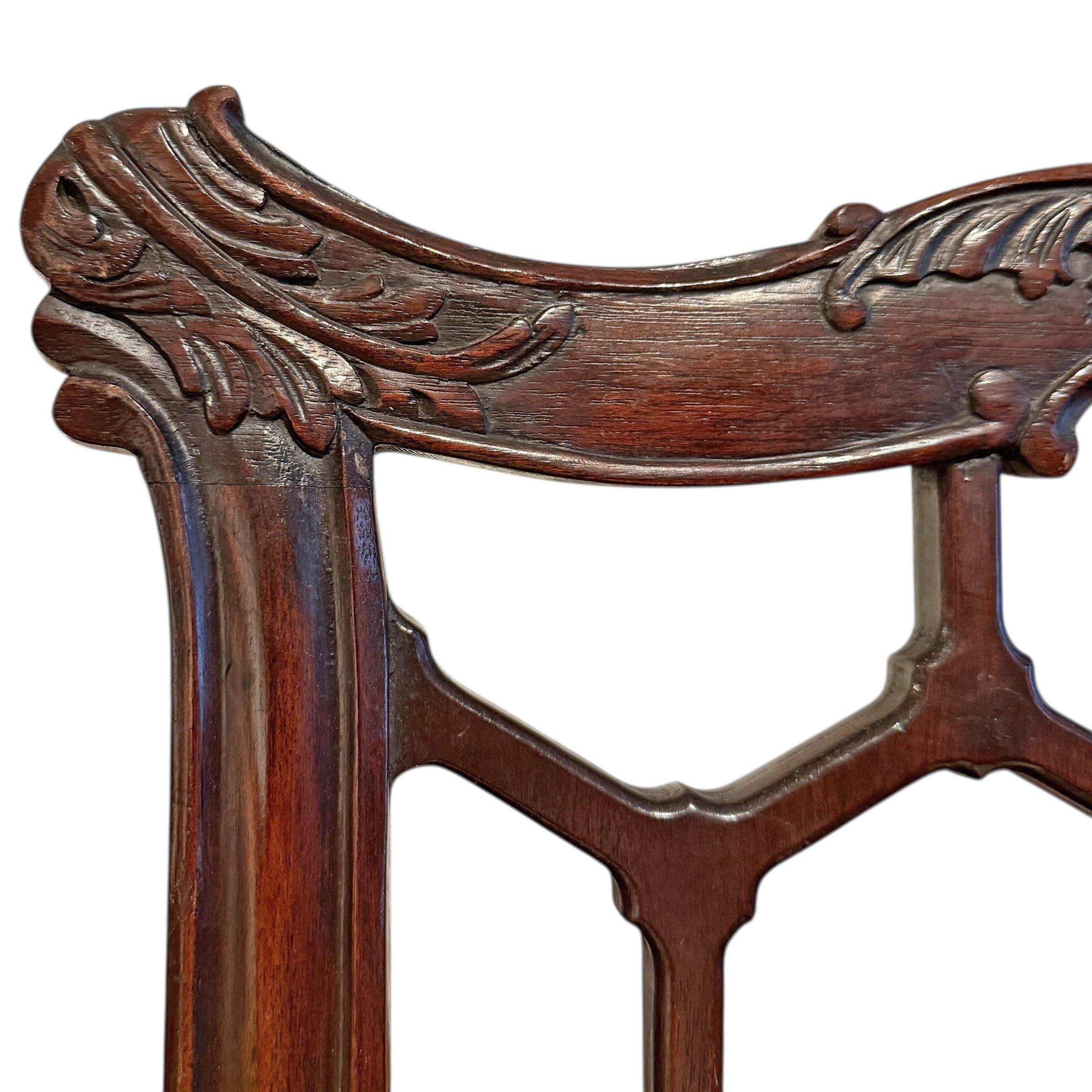 Photo Feb 03 2026, 2 07 48 PM (15).jpg