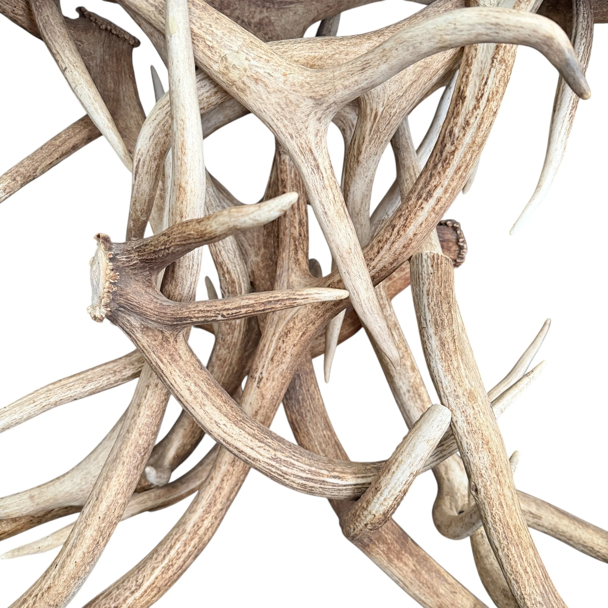 Photo Jan 28 2026, 2 26 49 PM (2).jpg