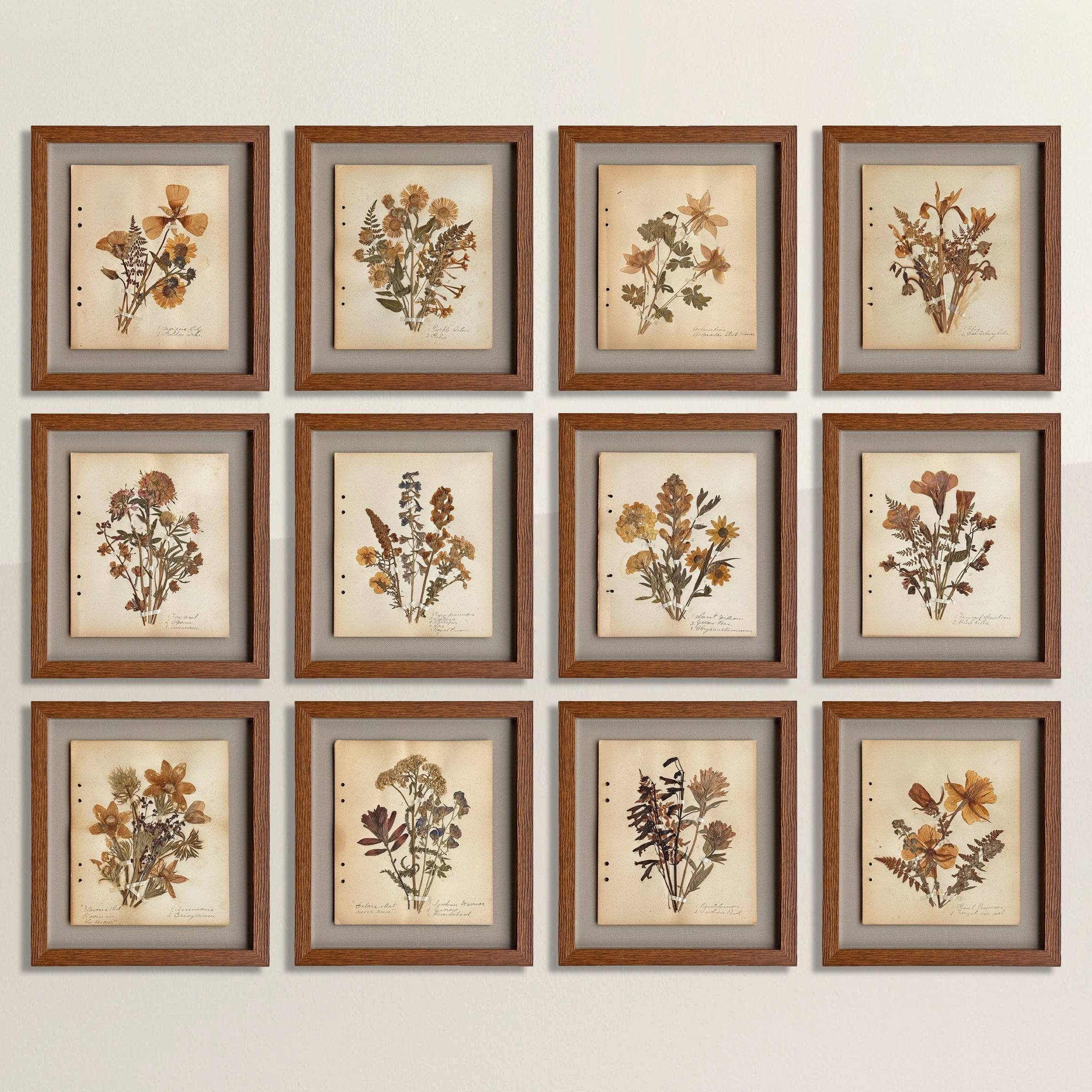 Colletion of 12 Rocky Mountain Botanicals.jpg