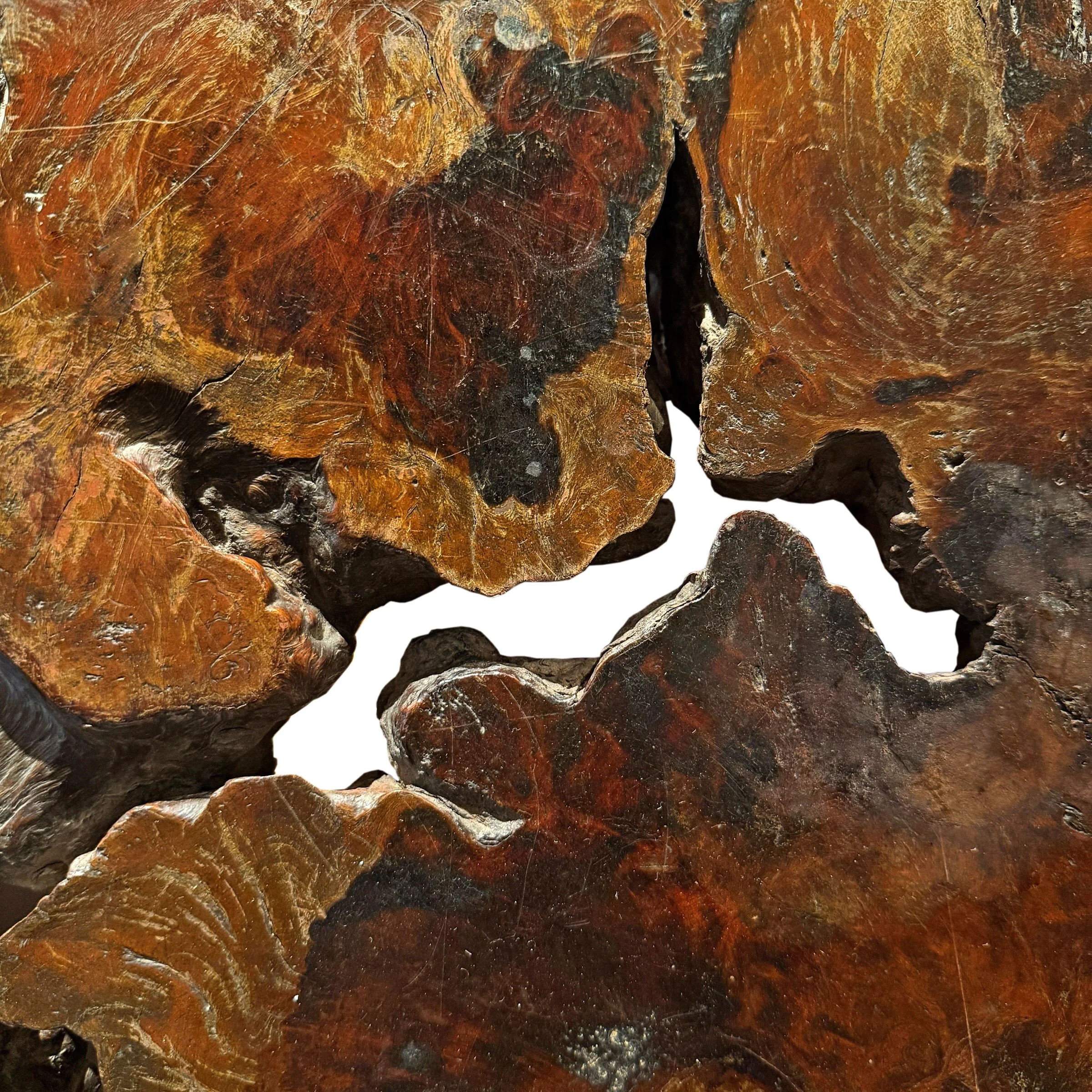 Photo Mar 14 2026, 12 26 04 PM (10).jpg