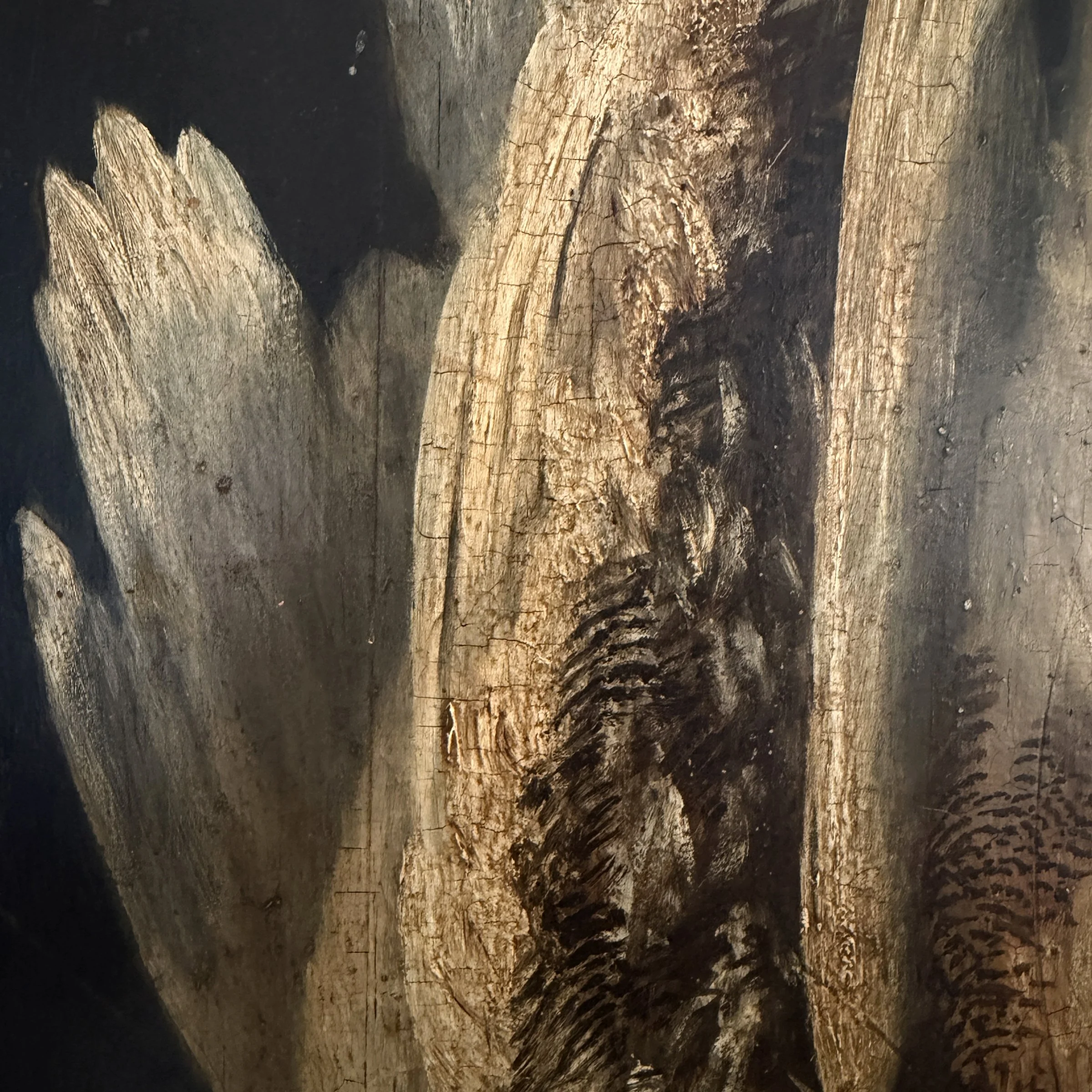 Photo Feb 16 2026, 3 47 24 PM.jpg