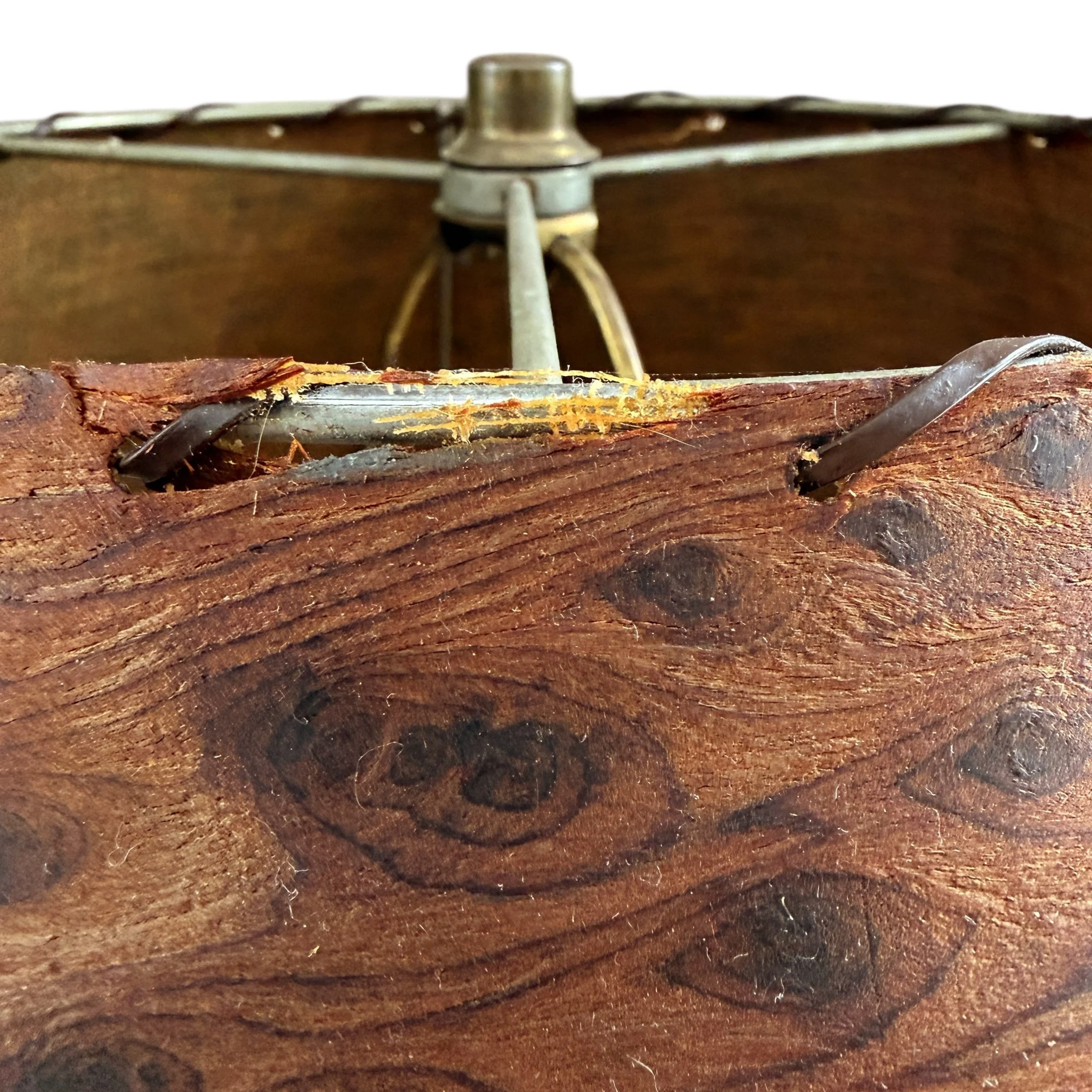 Photo Mar 18 2026, 9 59 58 AM (13).jpg