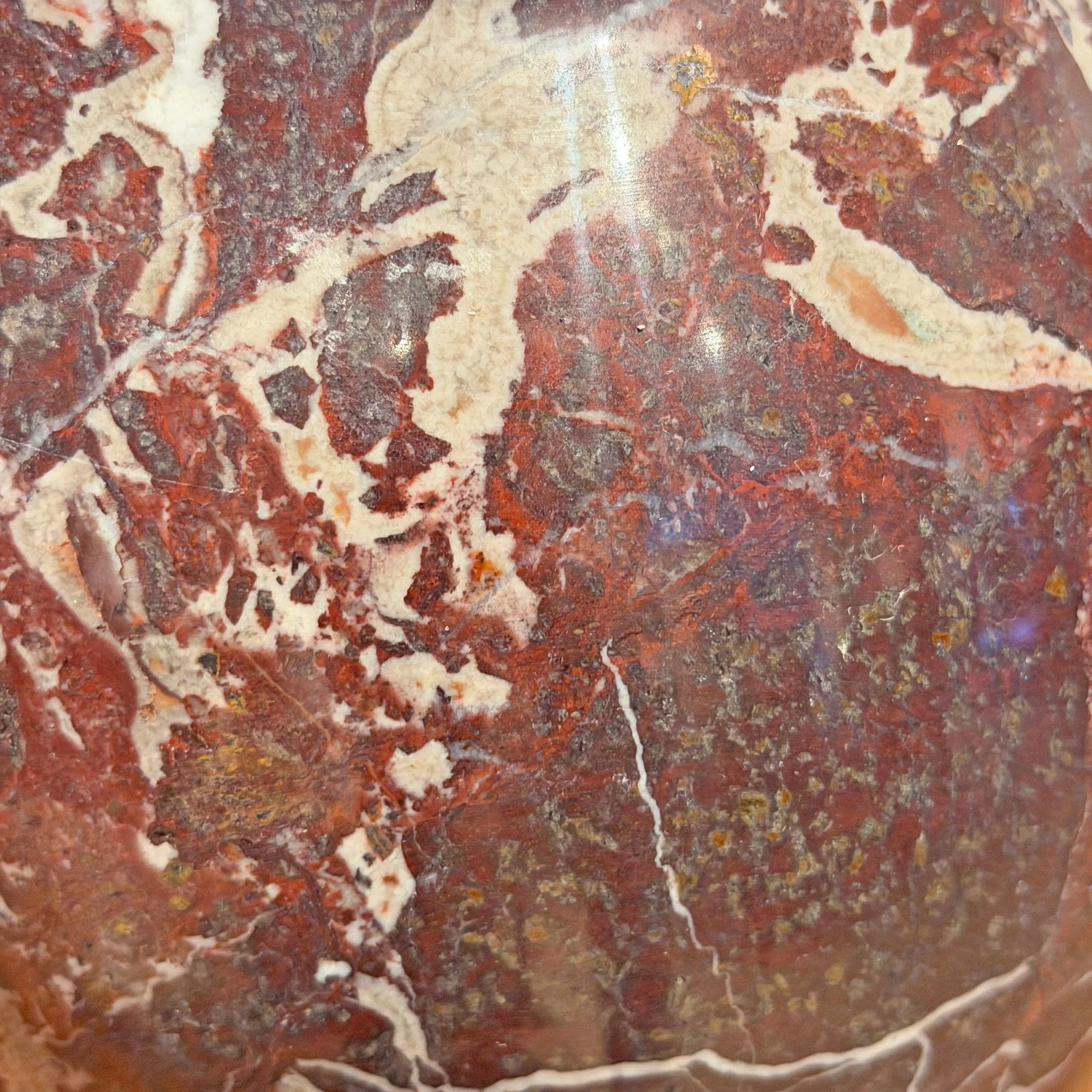 Photo Apr 06 2026, 5 45 18 PM.jpg