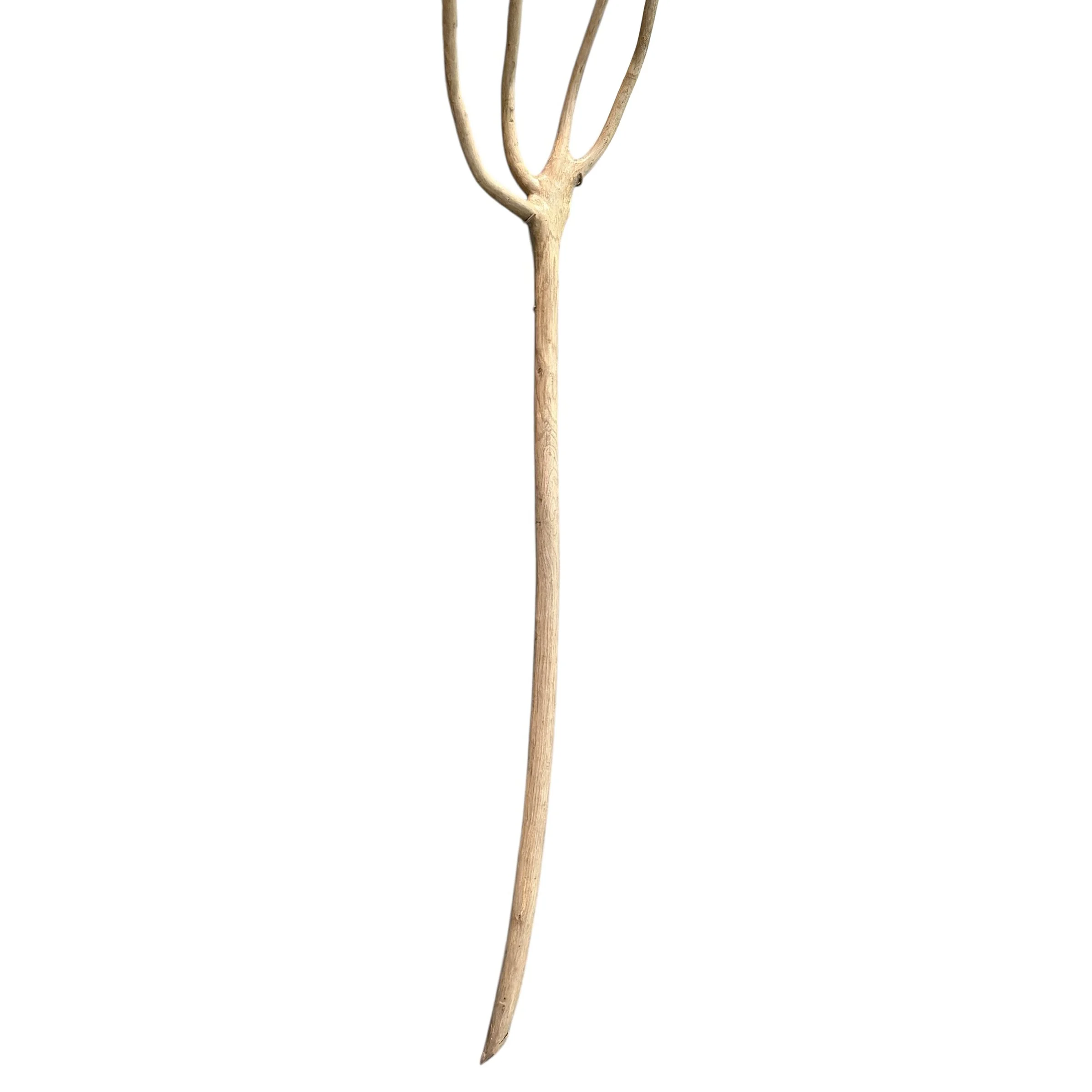 Photo Feb 27 2026, 2 55 22 PM.jpg