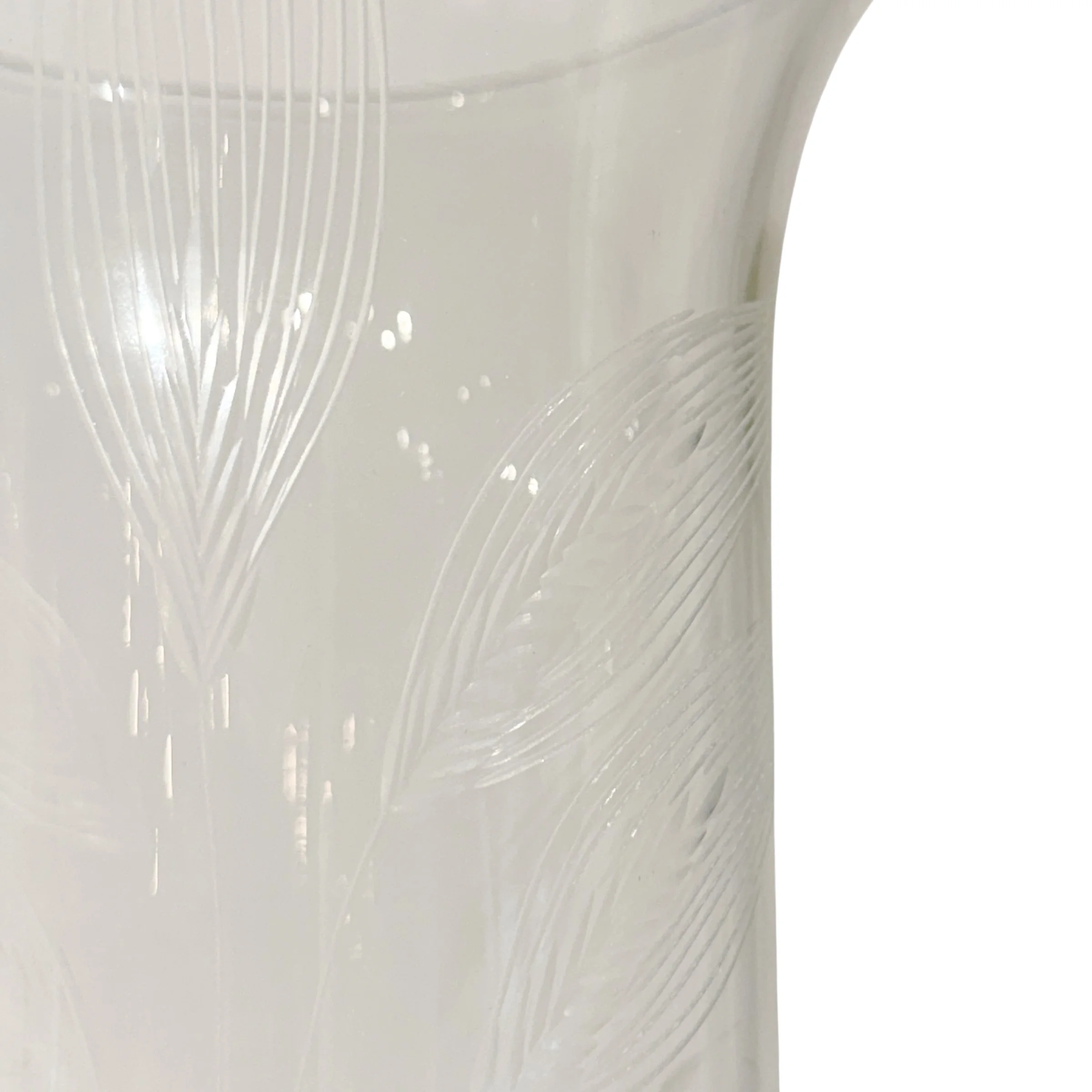 Photo Mar 10 2026, 9 04 36 PM (6).jpg