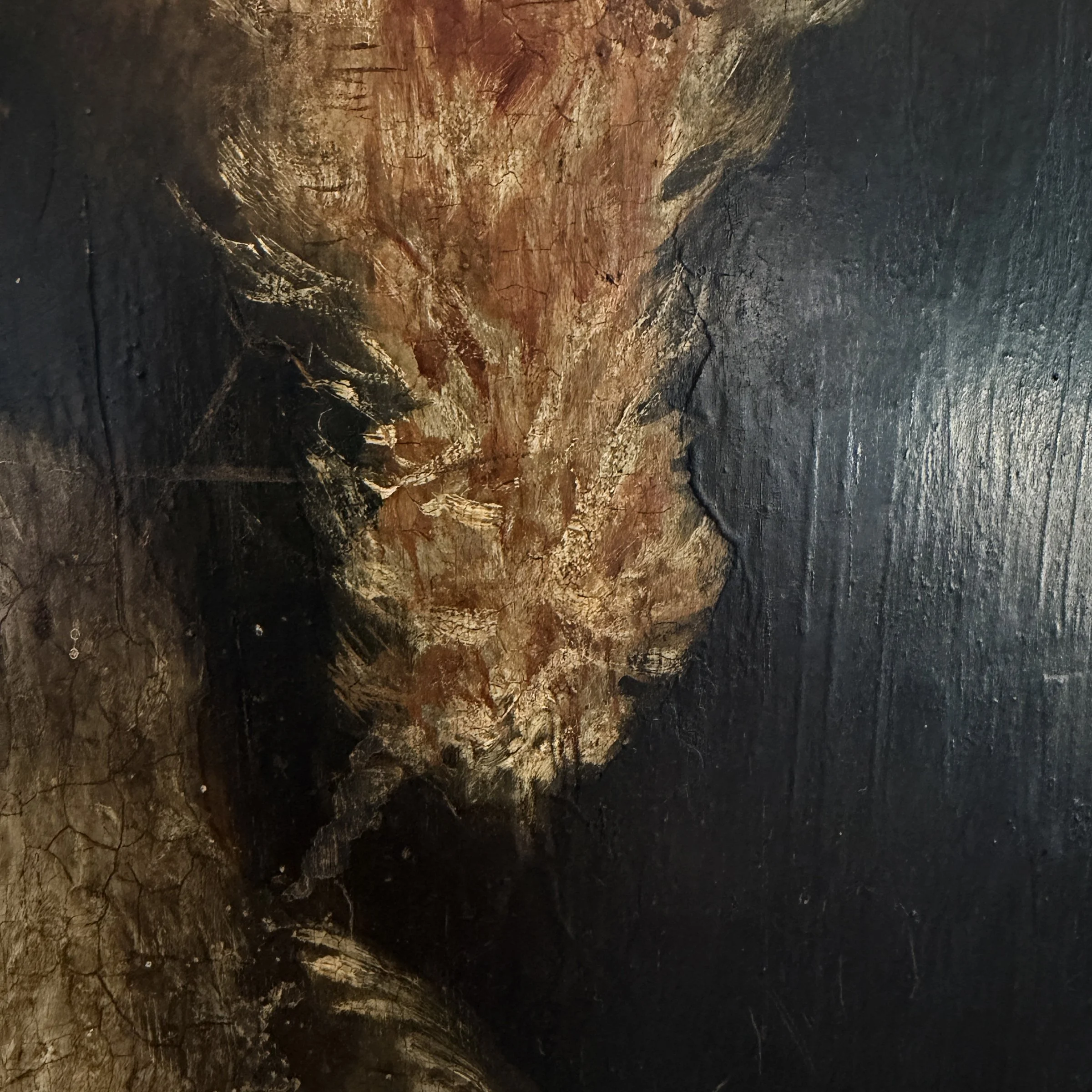 Photo Feb 16 2026, 3 47 19 PM.jpg