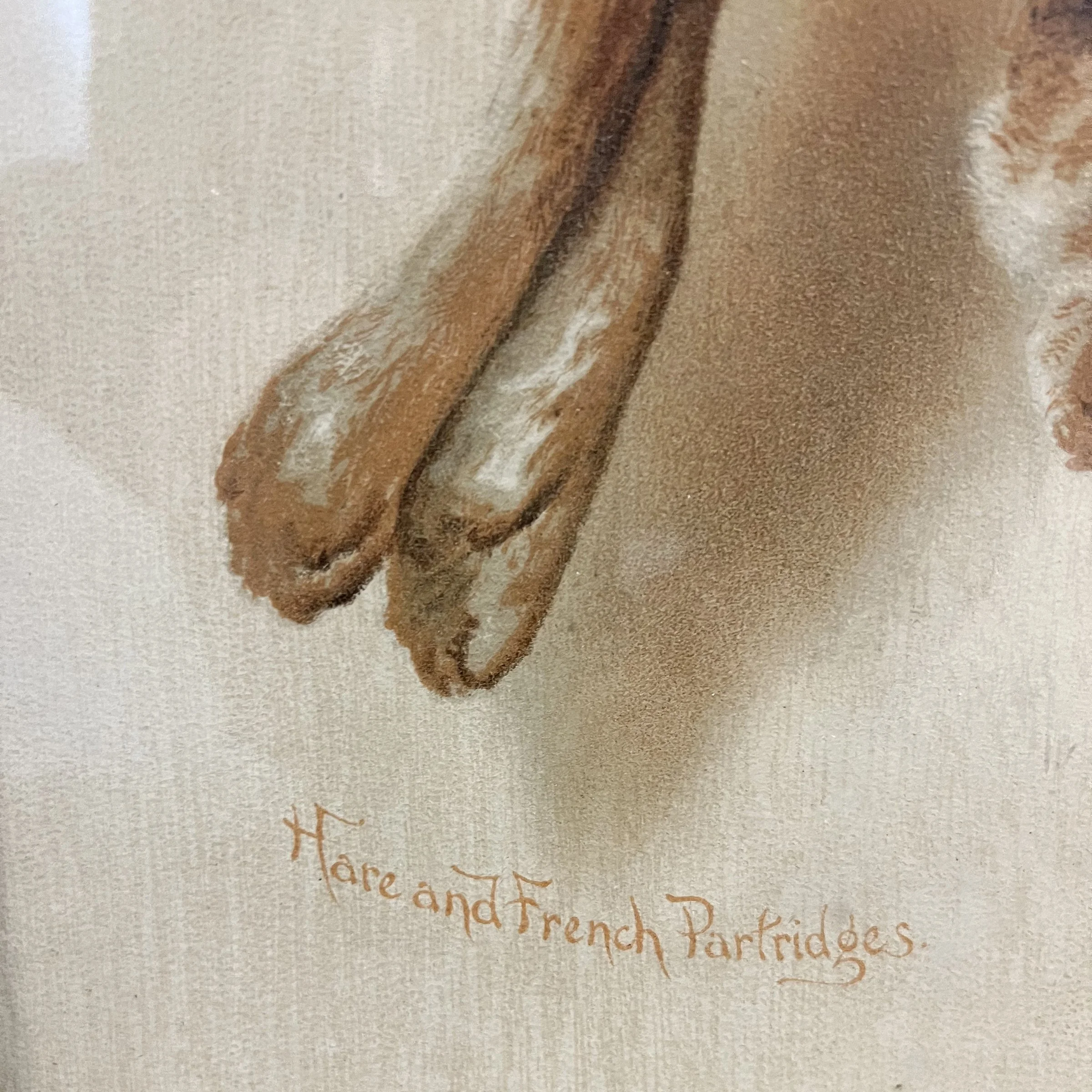 Photo Feb 05 2024, 9 00 35 AM.jpg