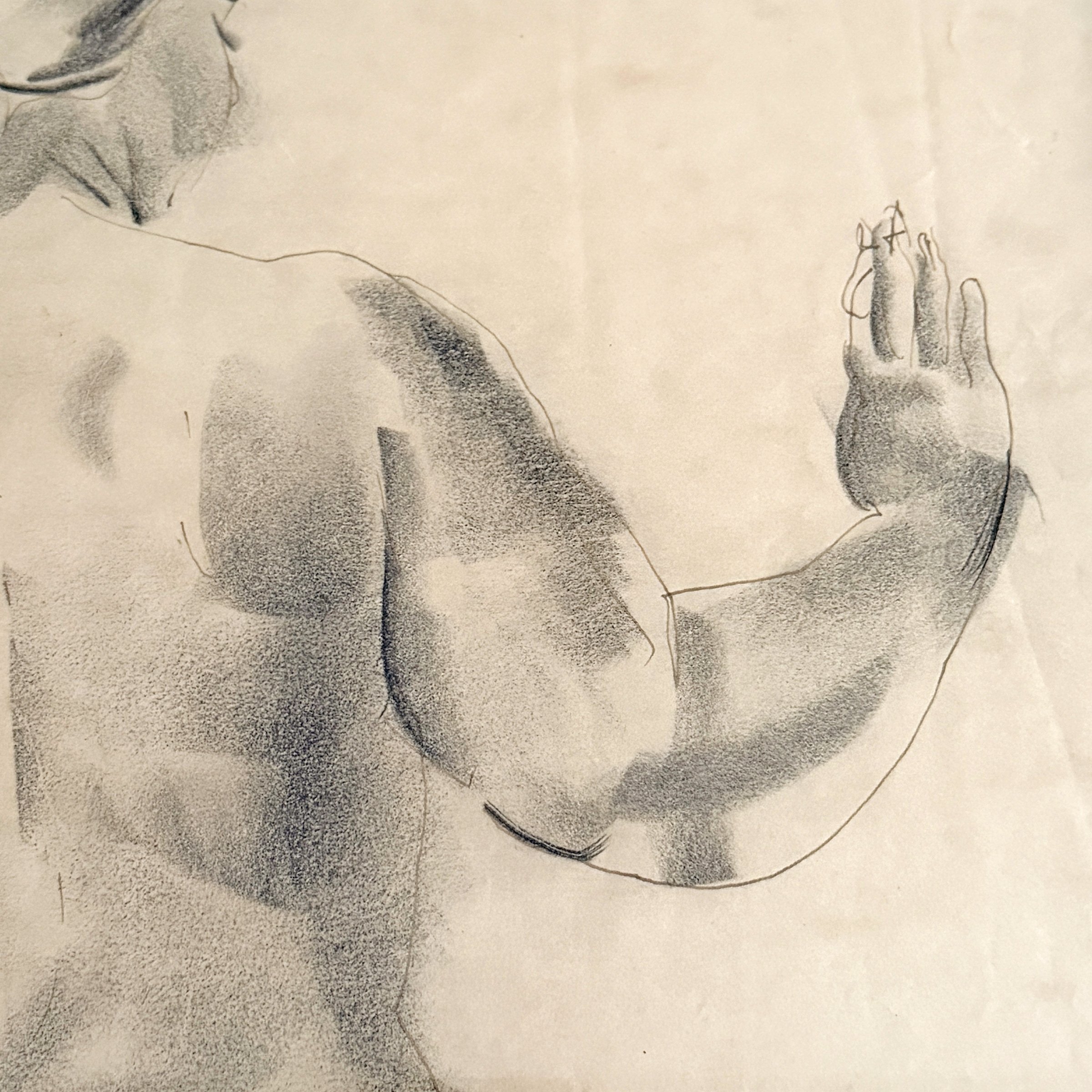 Photo Jan 19 2026, 11 58 04 AM.jpg