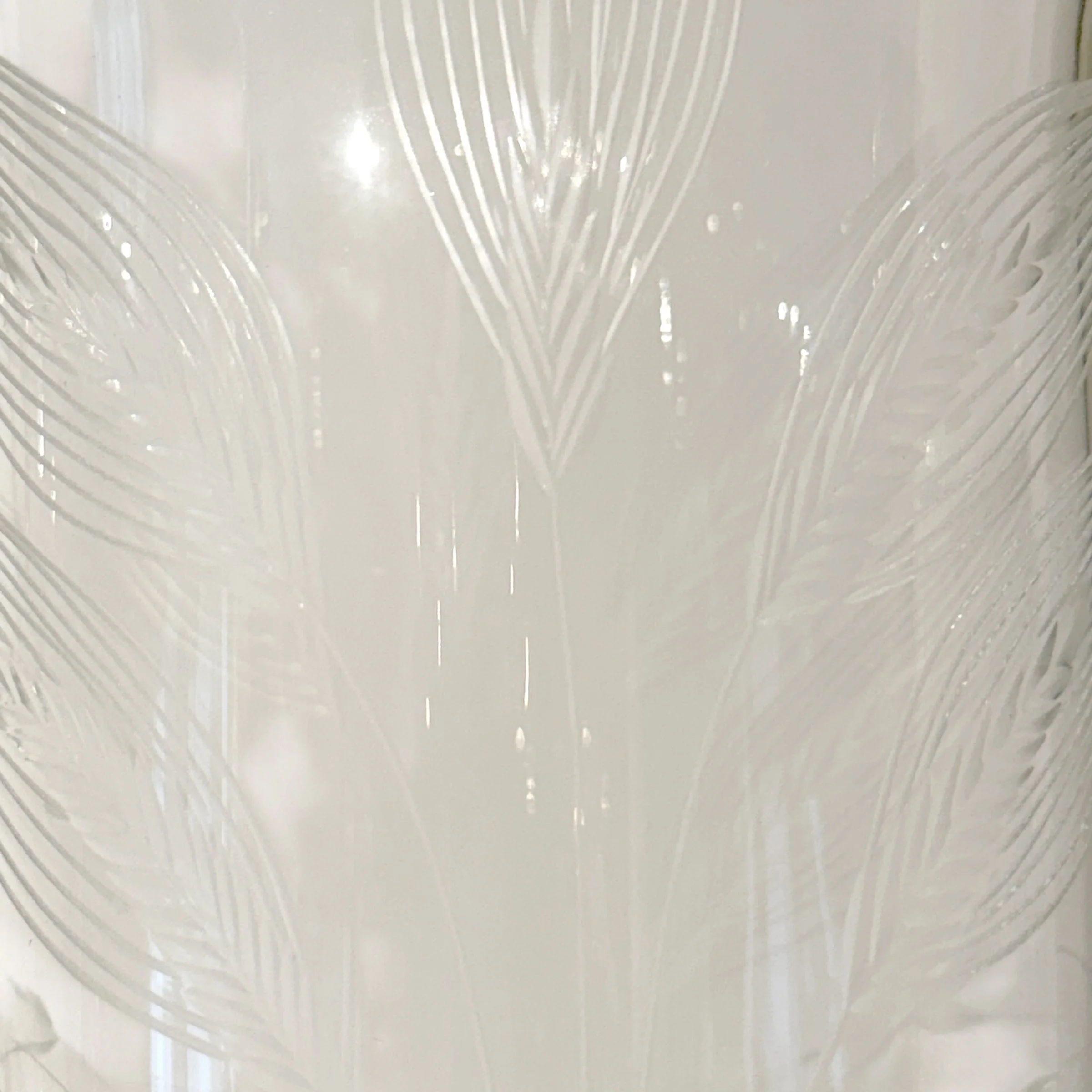 Photo Mar 10 2026, 9 04 36 PM (1).jpg