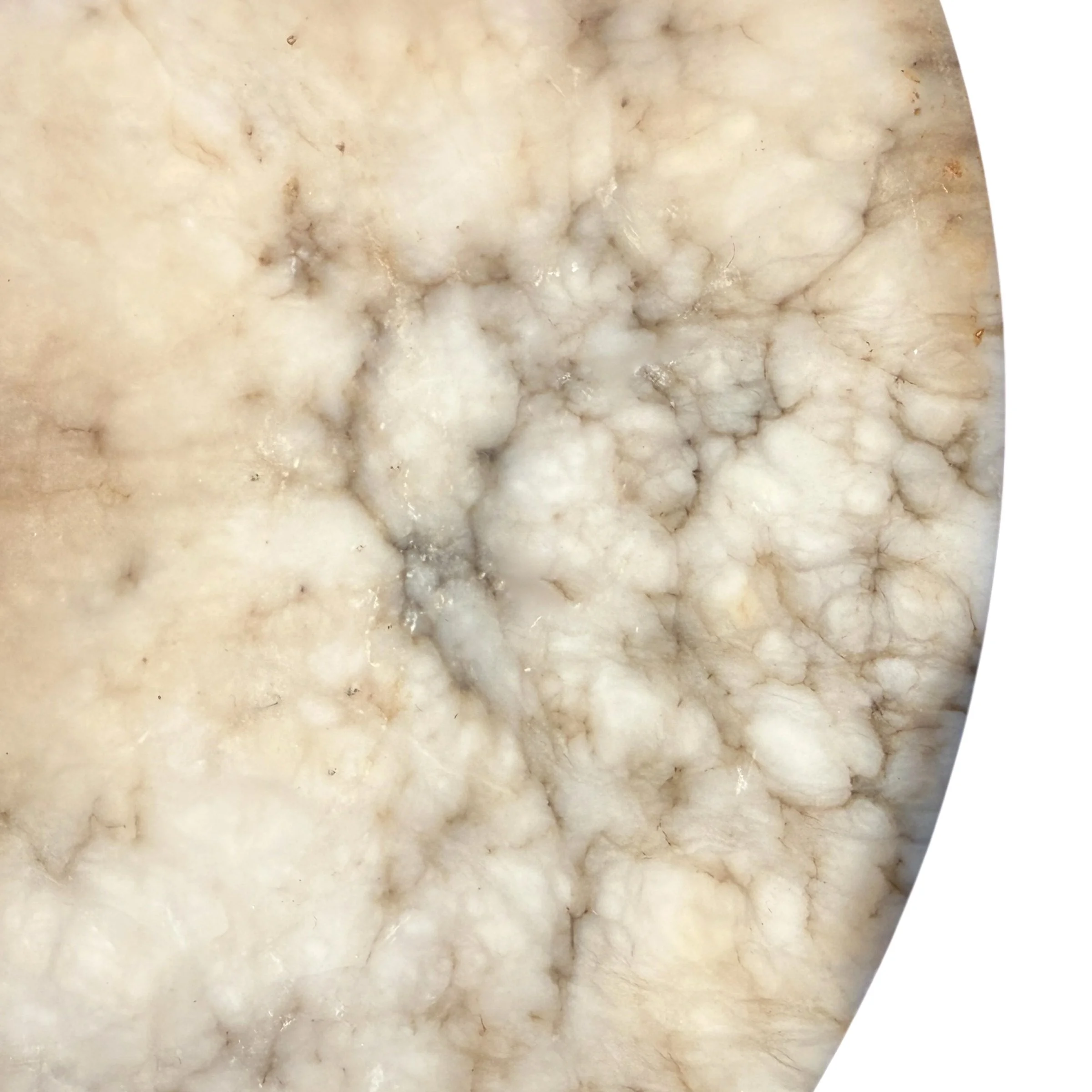 Photo Mar 02 2026, 5 45 35 PM (7).jpg