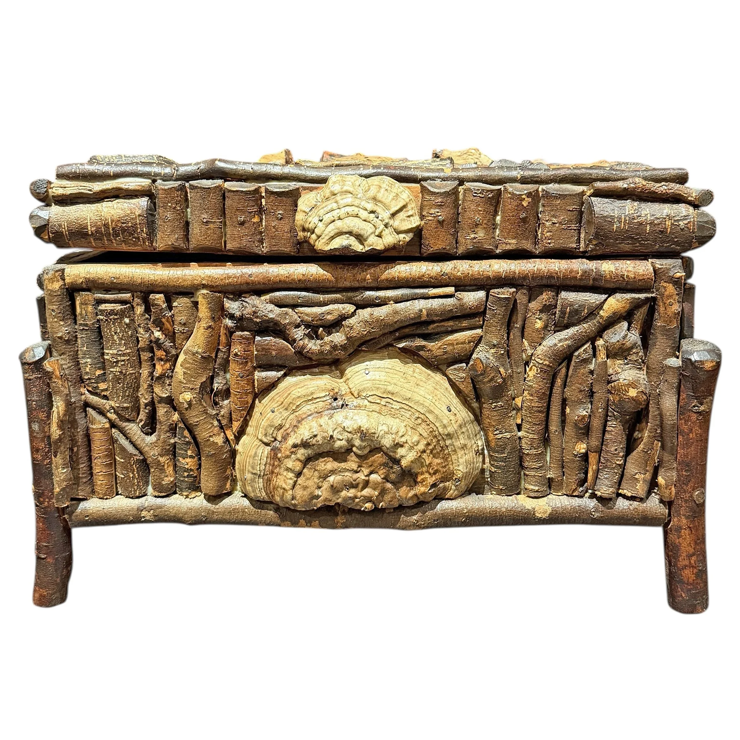 Photo Feb 03 2026, 2 05 57 PM (5).jpg