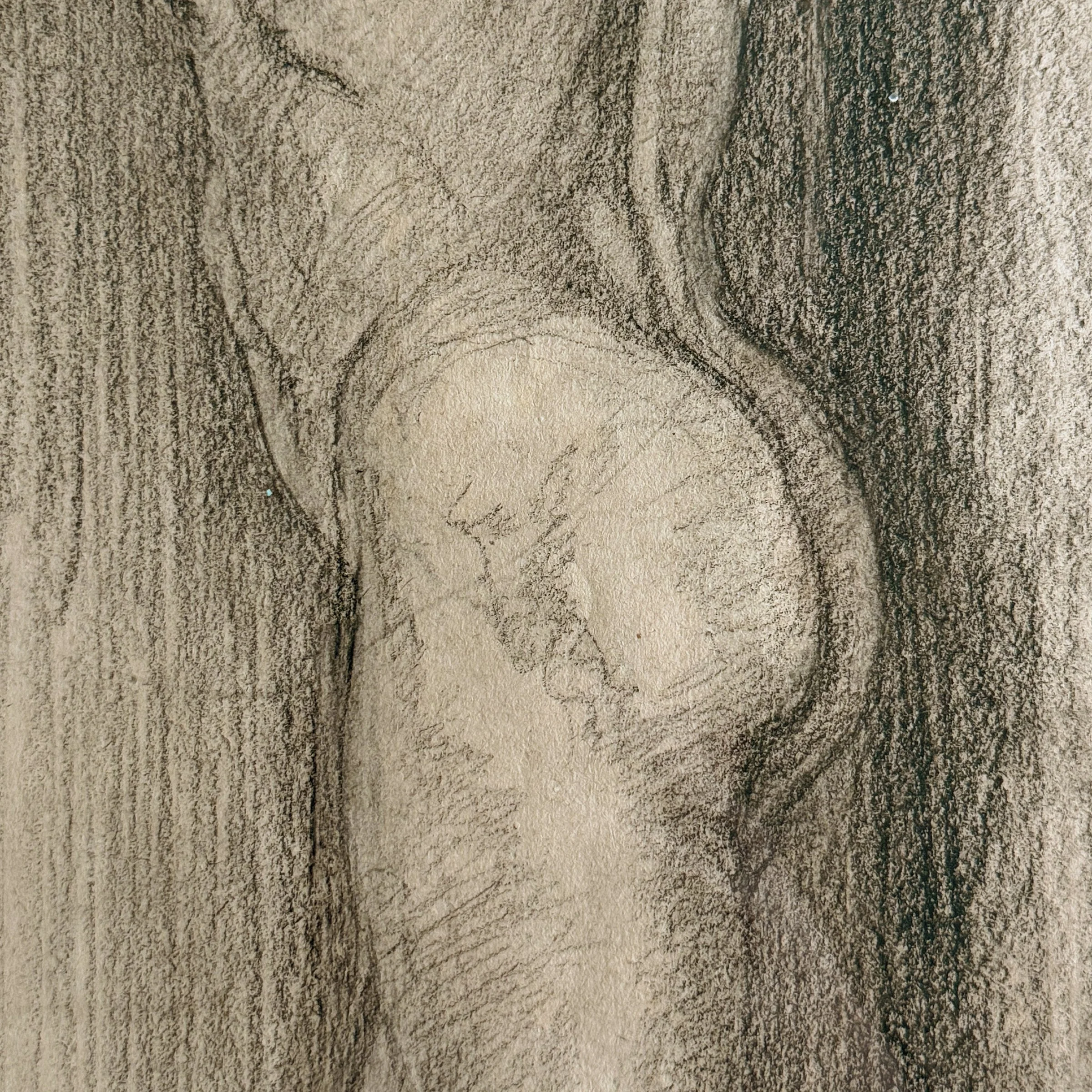 Photo Feb 20 2026, 12 44 30 PM.jpg