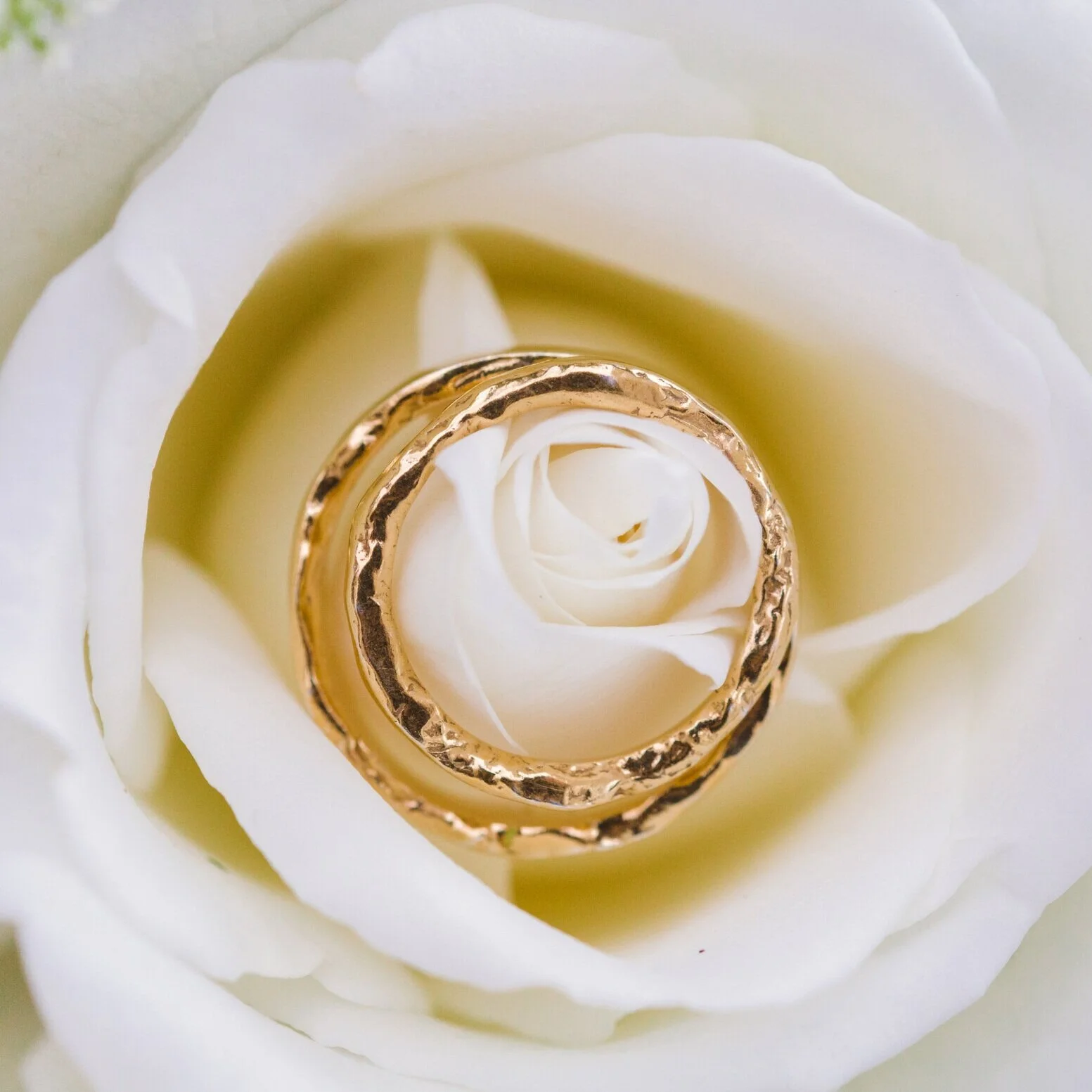 Blush Tone Classical Wedding