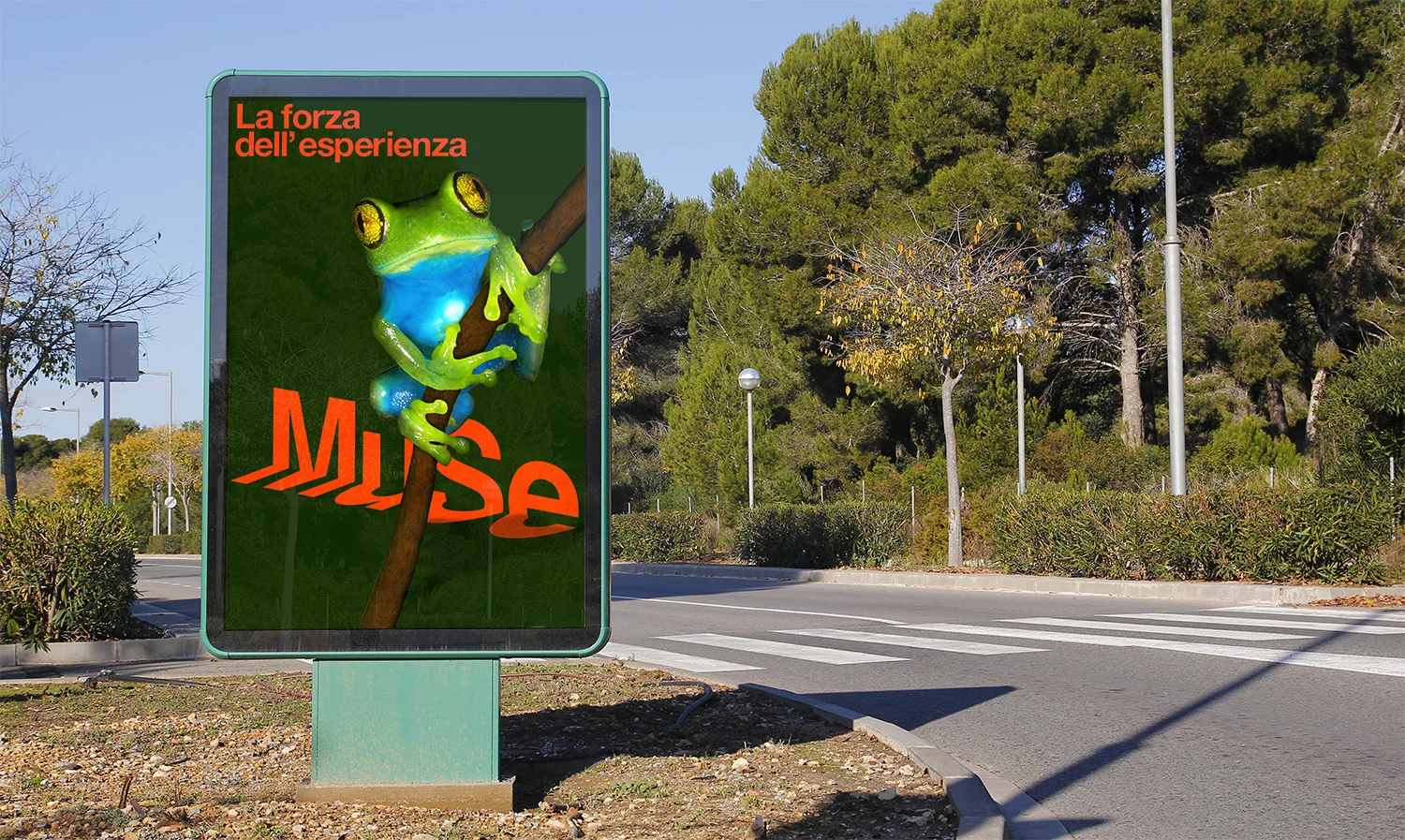 Muse_Posters_3.jpg