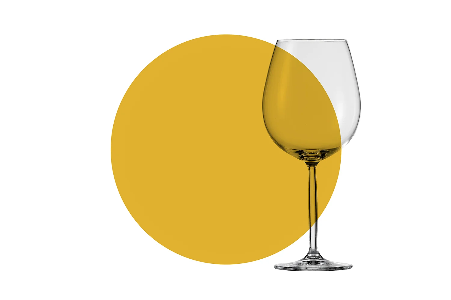 JL House Glass.jpg