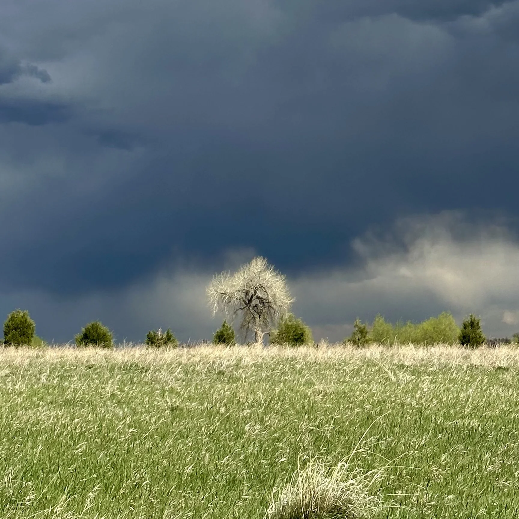 If you want to be a leader...