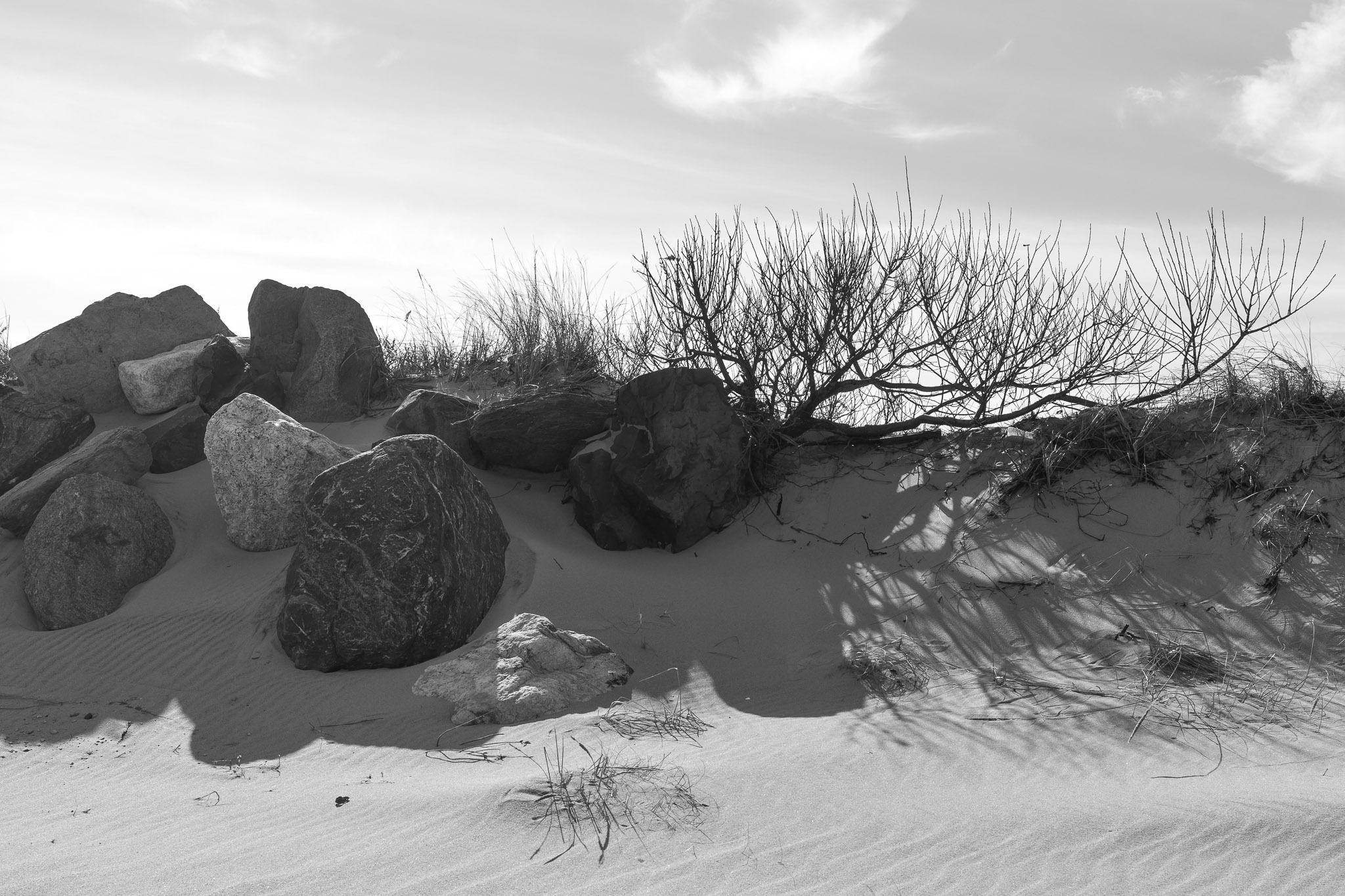 | The Beach |