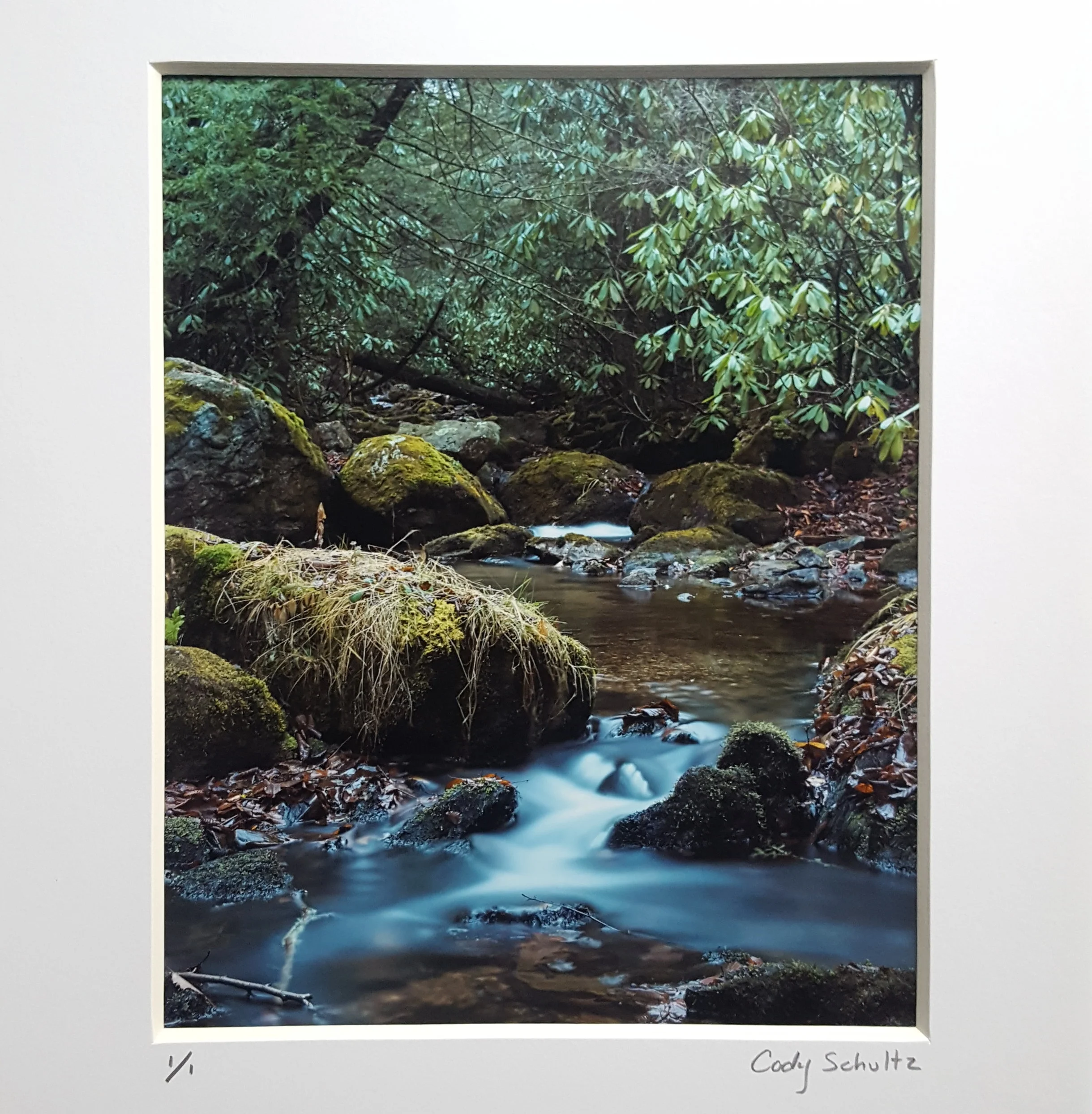 a limited edition print for my sister for christmas; the image will never be printed like this again