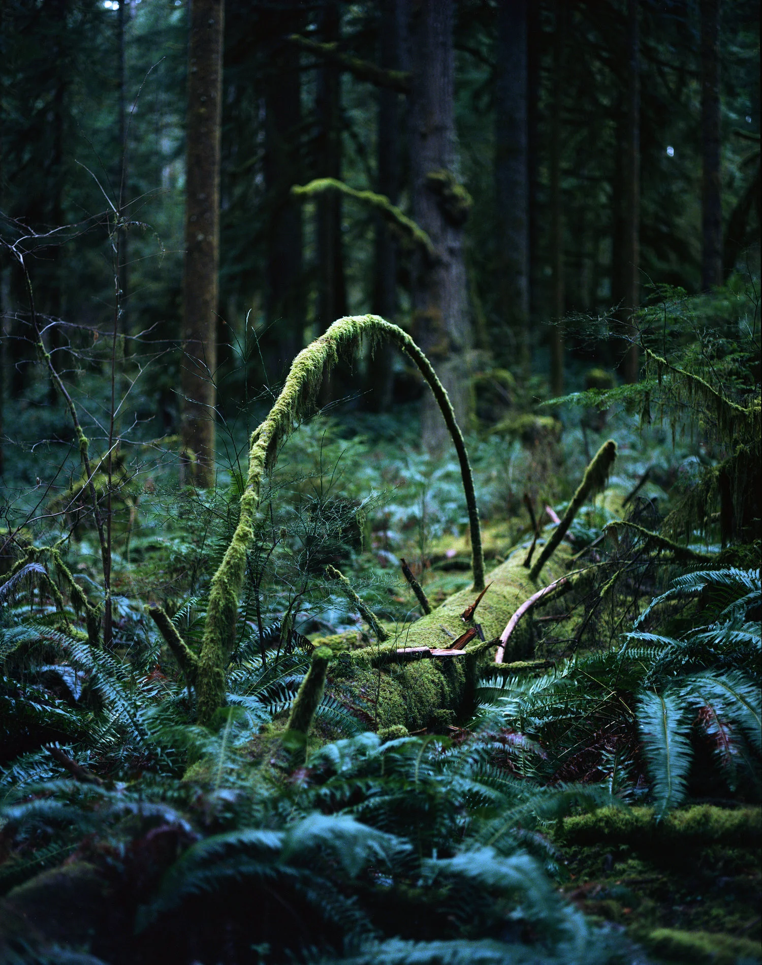 Jonathan Moore - Landscape Photographer - www.jontakesphotos.com