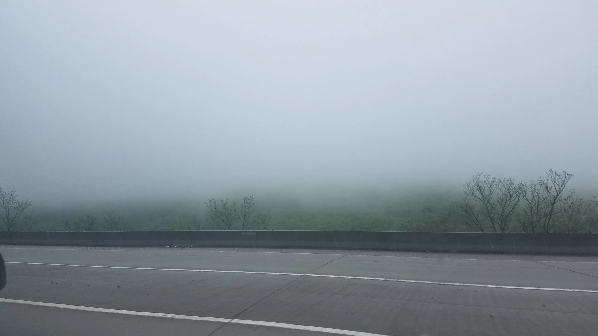 i just cannot help myself - i love the fog