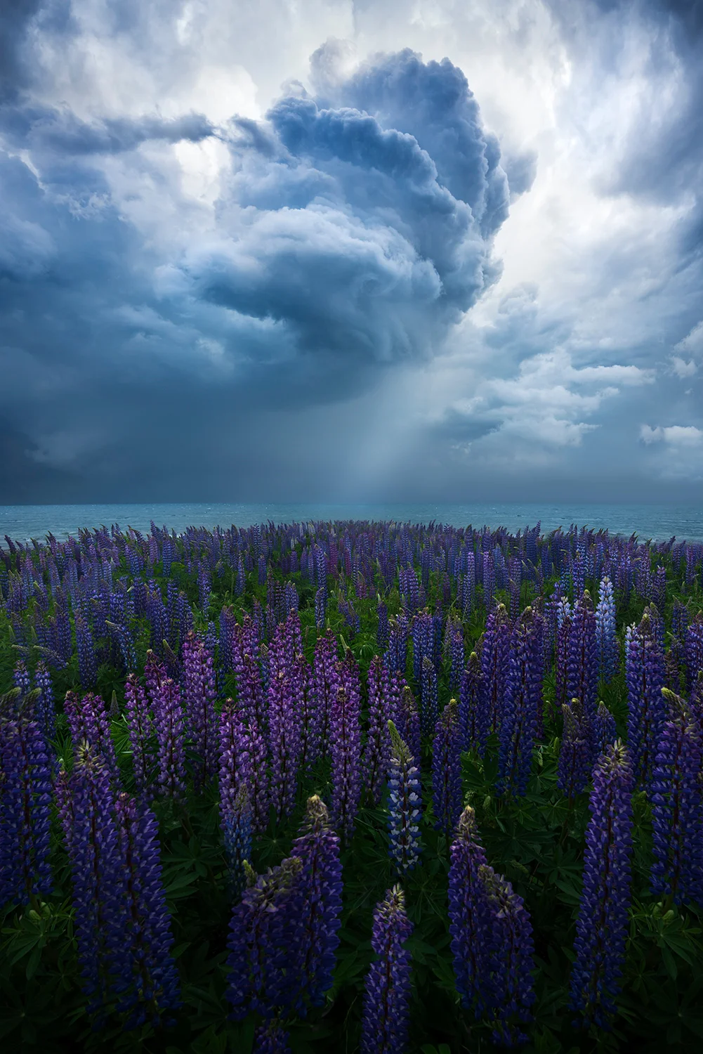 William Patino - Landscape Photographer - www.williampatino.com