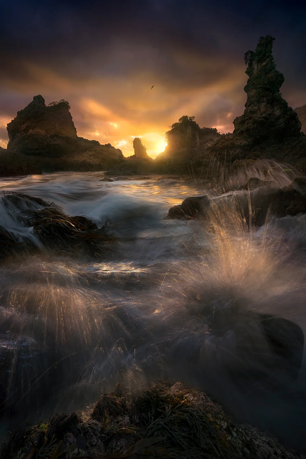 William Patino - Landscape Photographer - www.williampatino.com