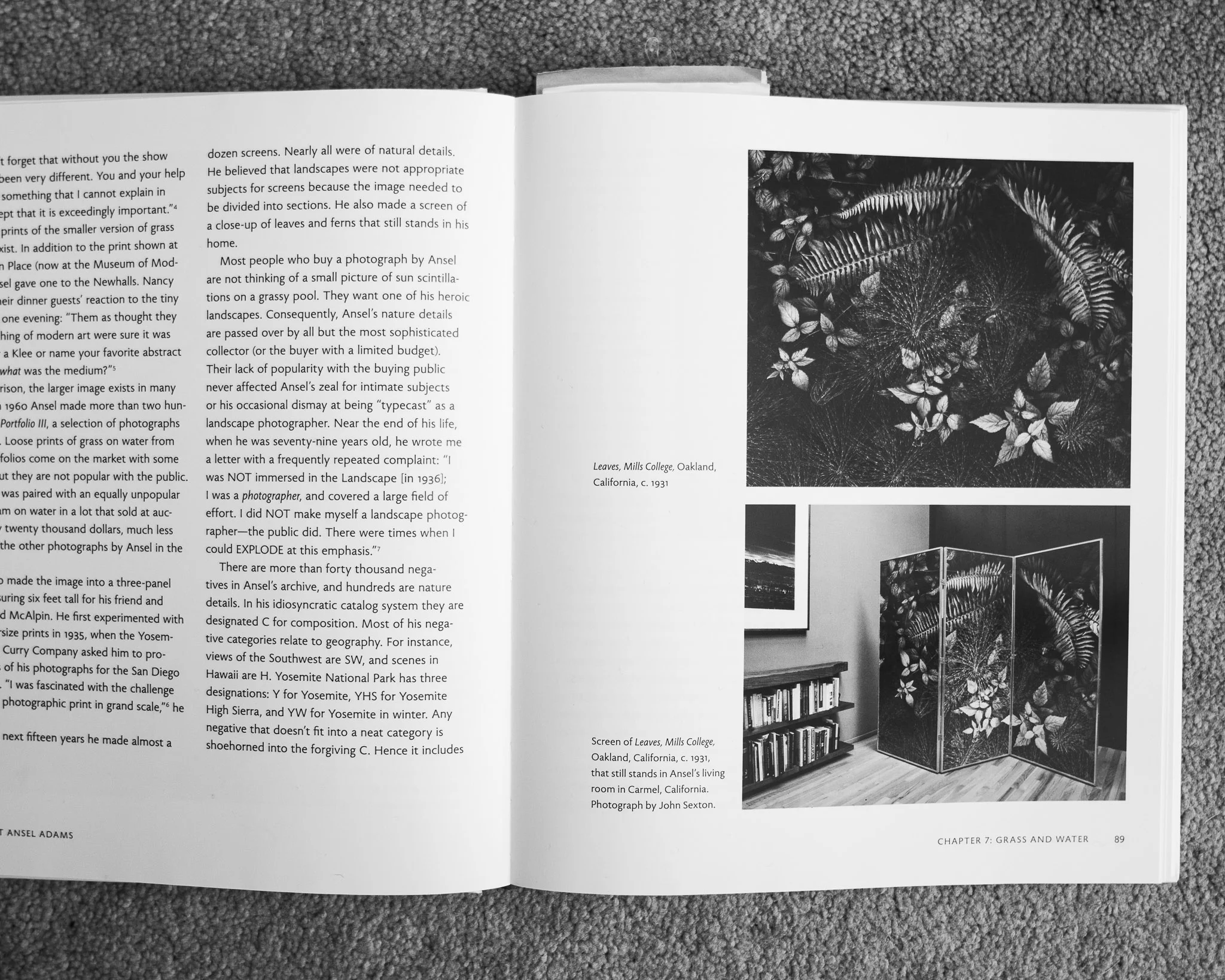 A black and white photograph of a page from book of the work of Ansel Adams, published by Little Brown Co. that highlights a photograph Ansel had made of Leaves on the ground and turned into a three-panel privacy screen, which inspired fine artist Cody Schultz to create his piece, “Upon The Forest Floor.”