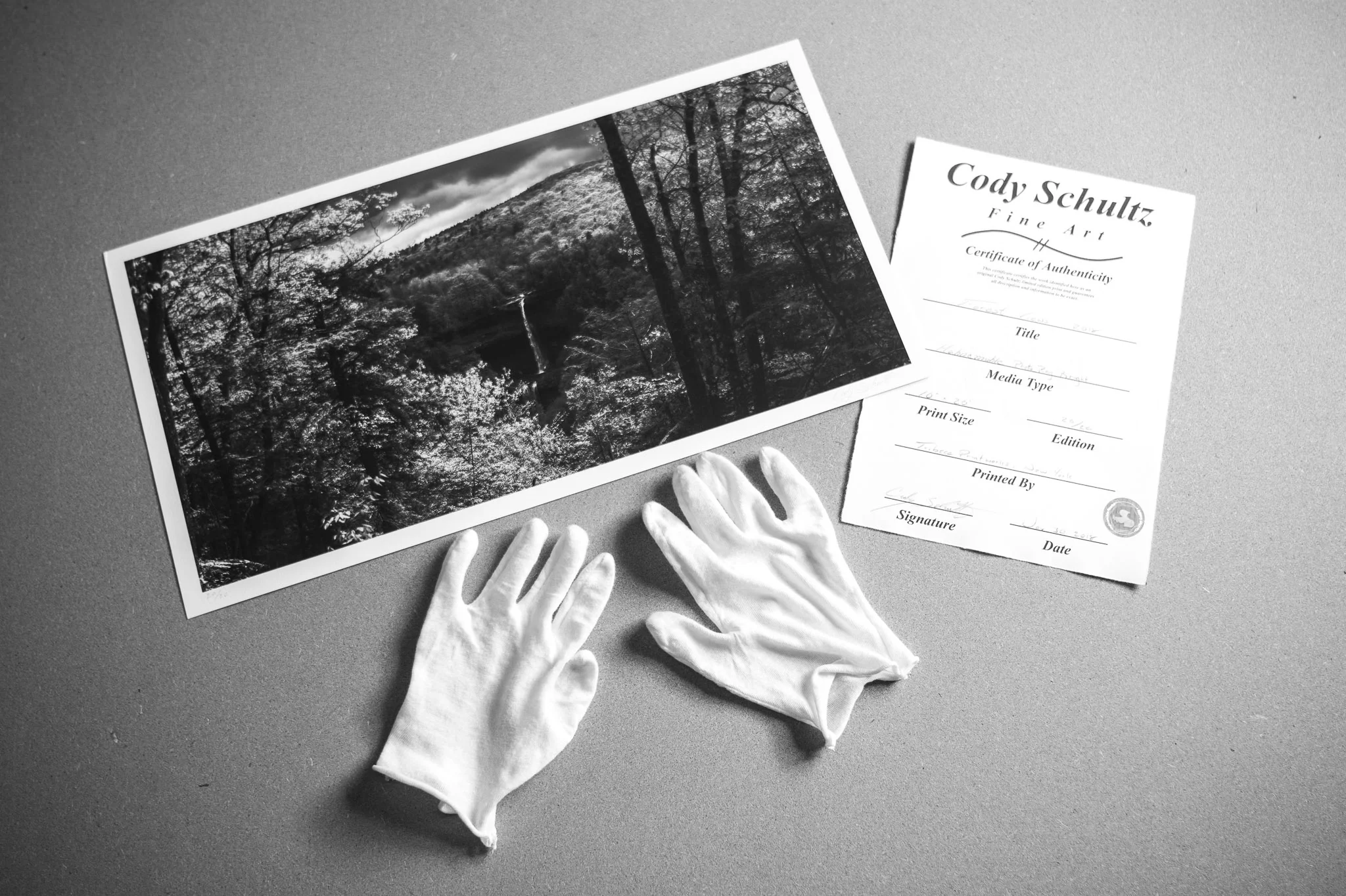 Cody Schultz _DSC0423.jpg