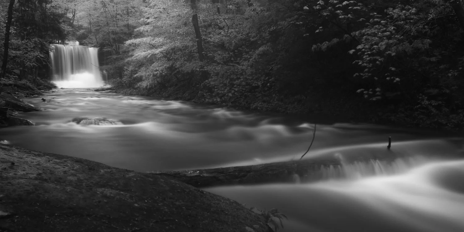 Down By The River.jpg