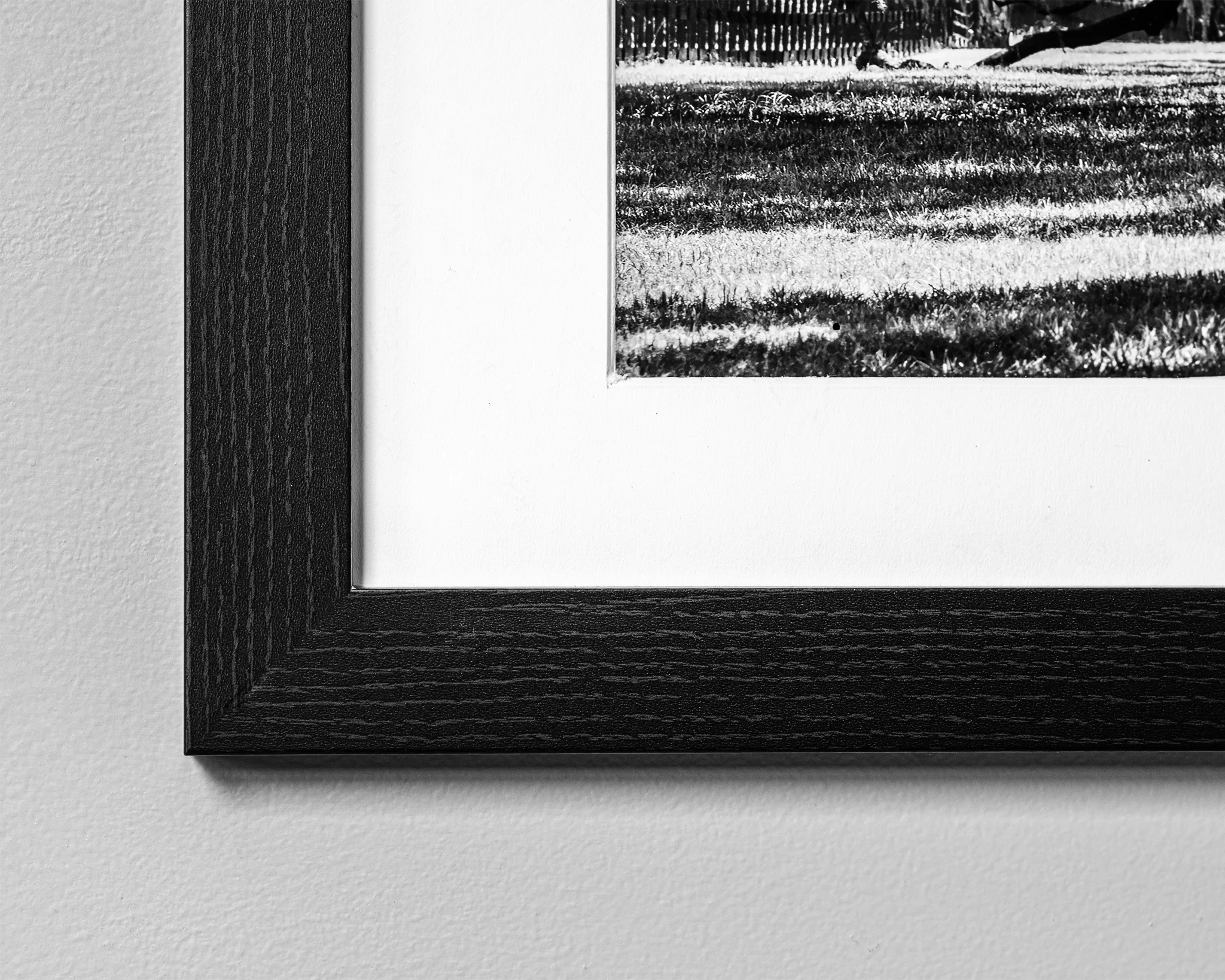 Black Maple Frame - Cody Schultz - Fine Art Nature Photography.jpg