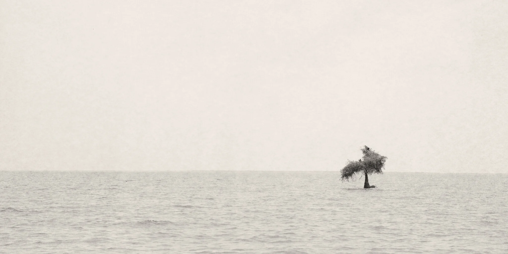 Lonely Waters.jpg