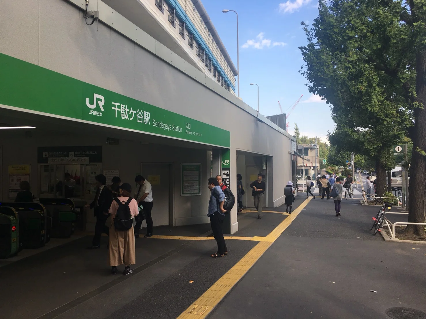 S__43180049.jpg