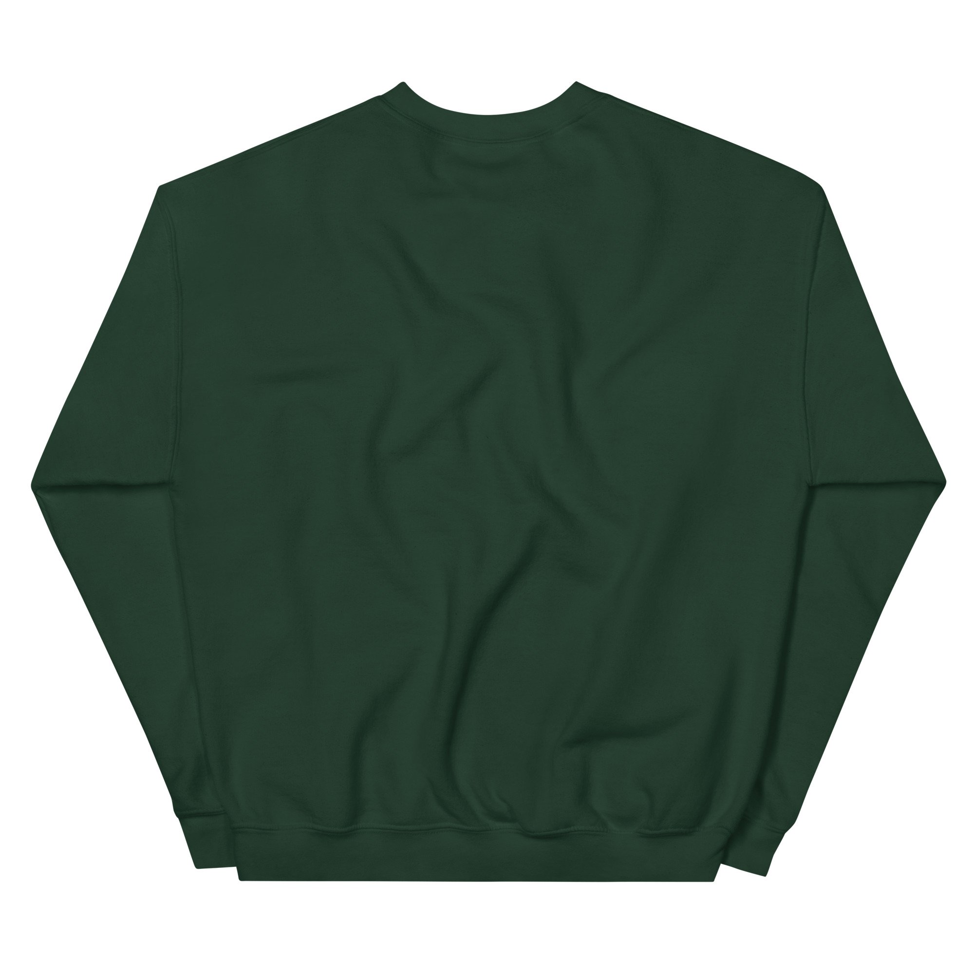 unisex-crew-neck-sweatshirt-forest-green-back-69458e21649f2.jpg
