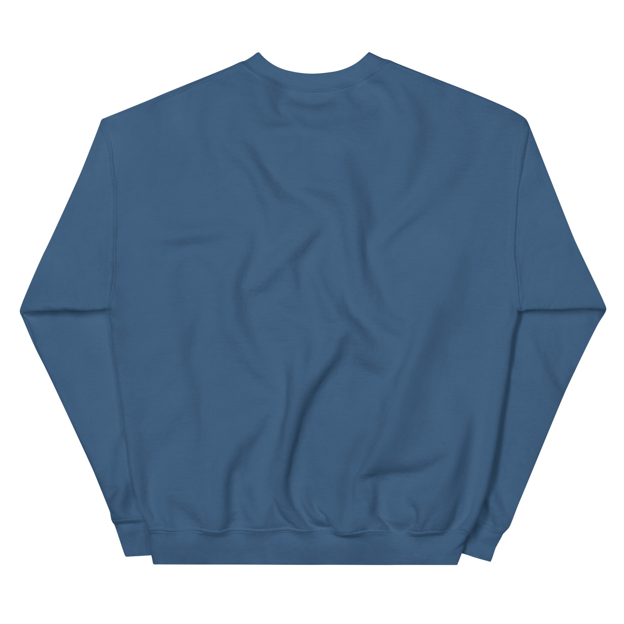unisex-crew-neck-sweatshirt-indigo-blue-back-69458e2191e49.jpg