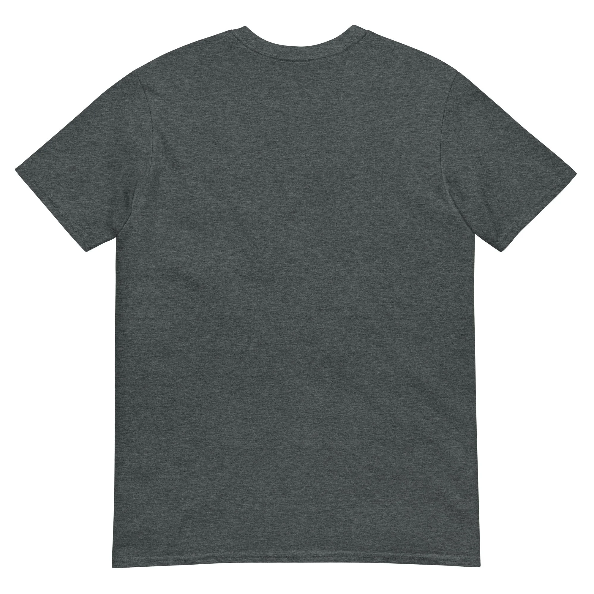 unisex-basic-softstyle-t-shirt-dark-heather-back-6a85b1bec18c4.jpg