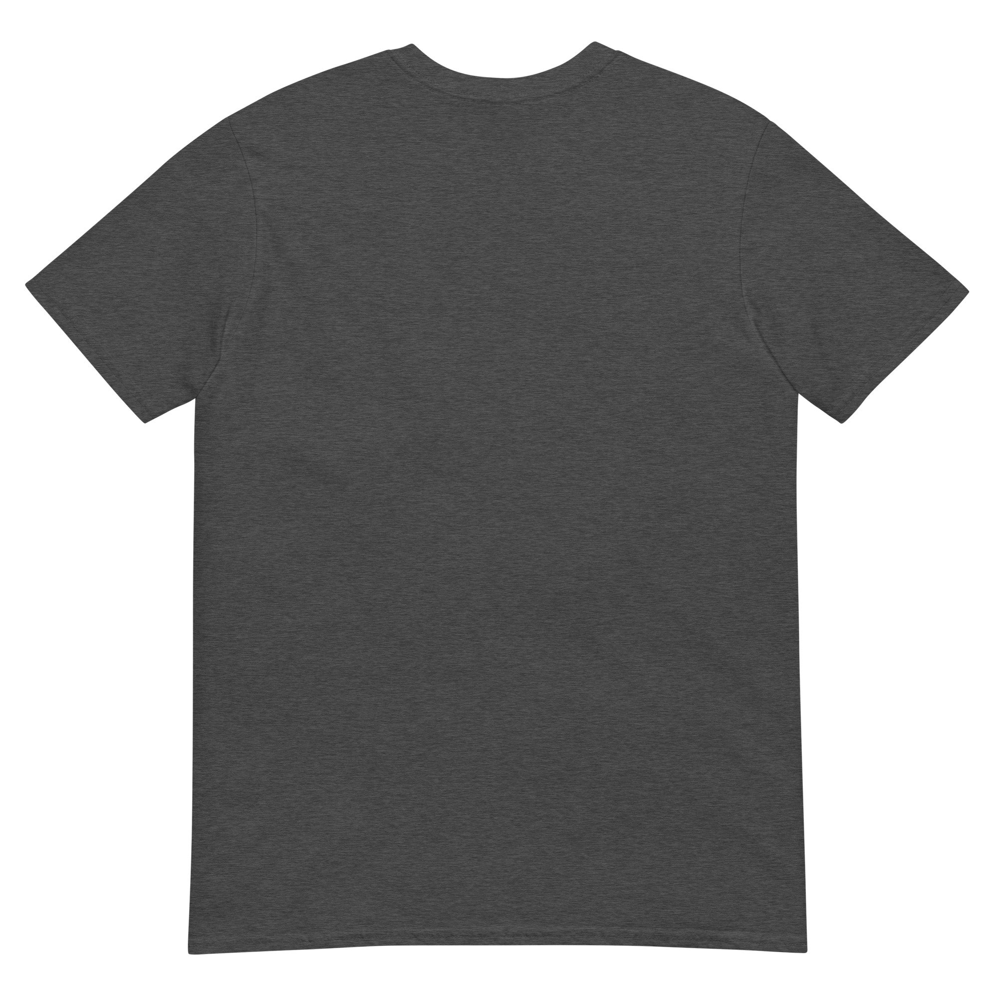 unisex-basic-softstyle-t-shirt-dark-heather-grey-back-6a85b1bec6361.jpg
